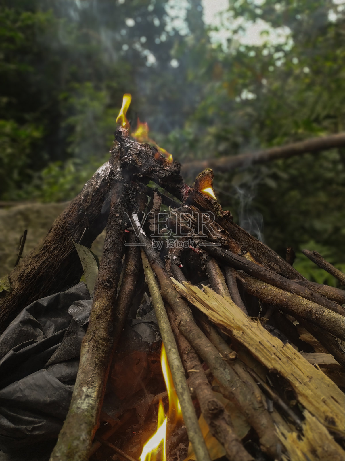 篝火照片摄影图片