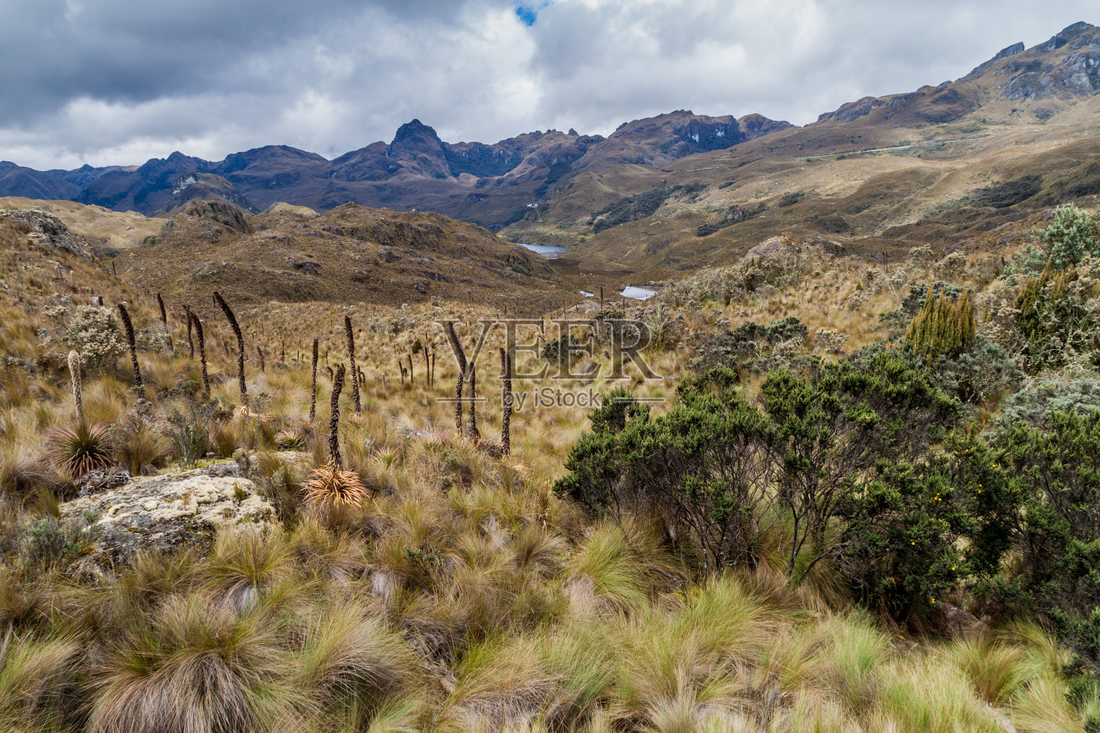 厄瓜多尔卡加斯国家公园景观照片摄影图片