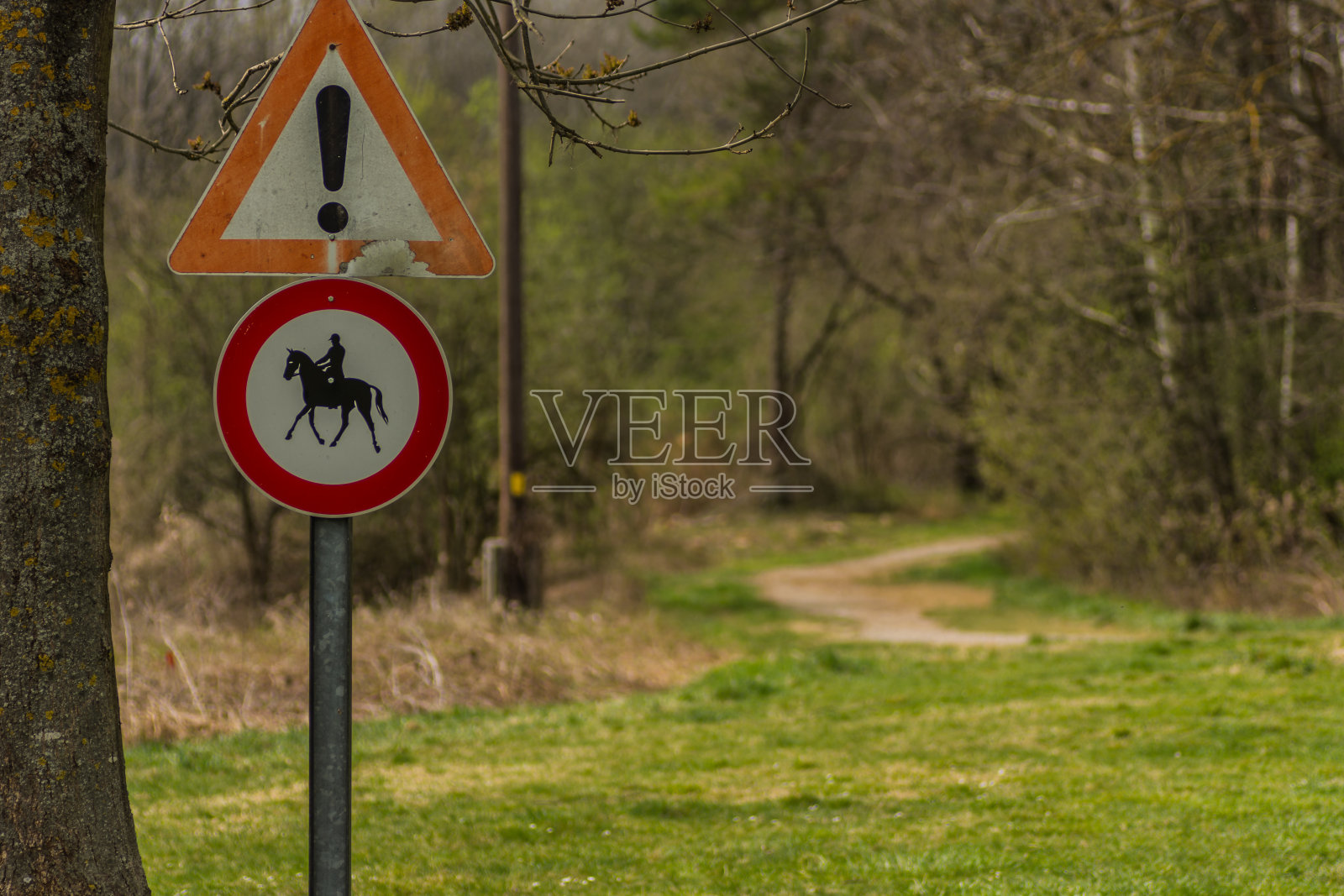 在大自然中严禁骑乘照片摄影图片