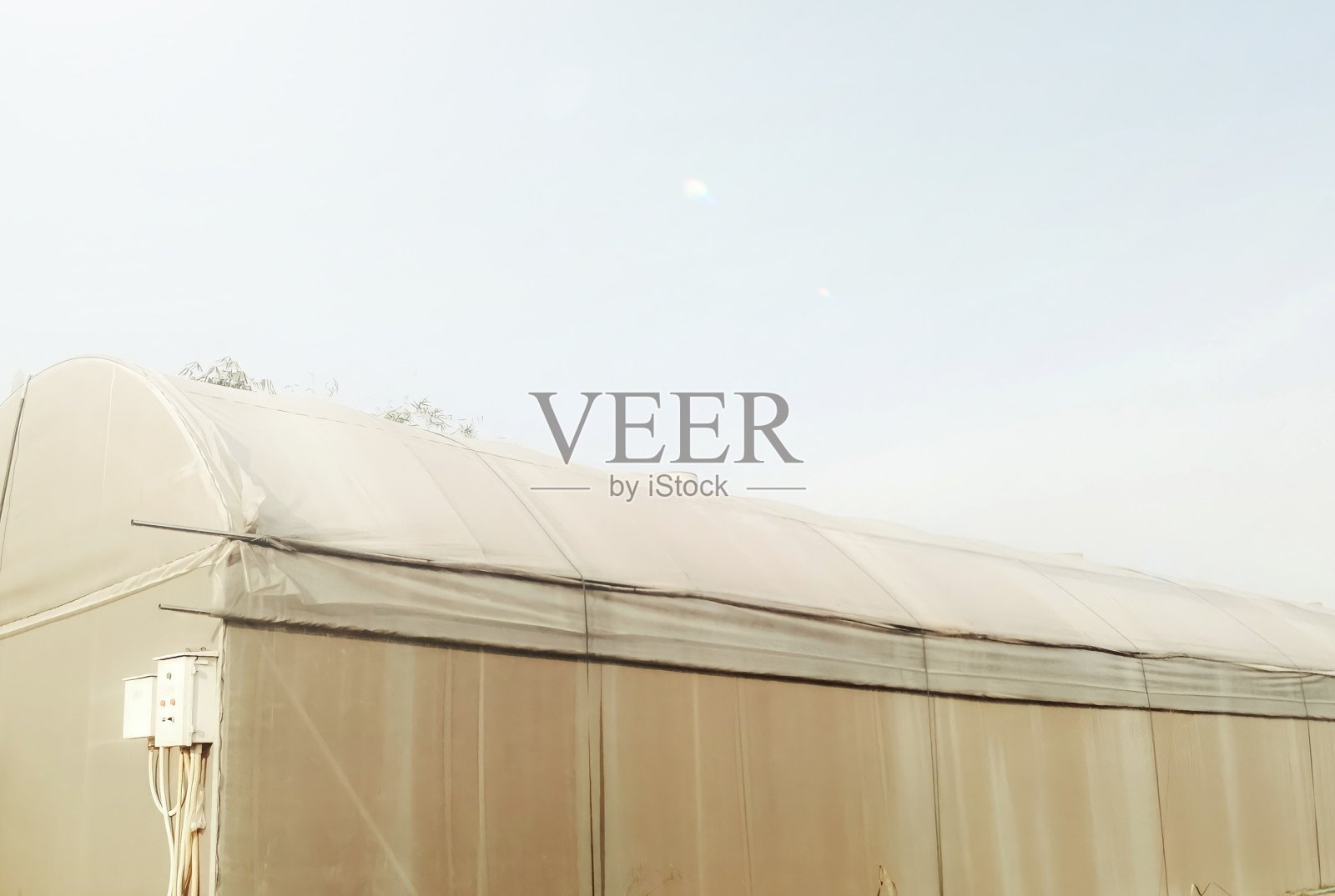 温室照片摄影图片