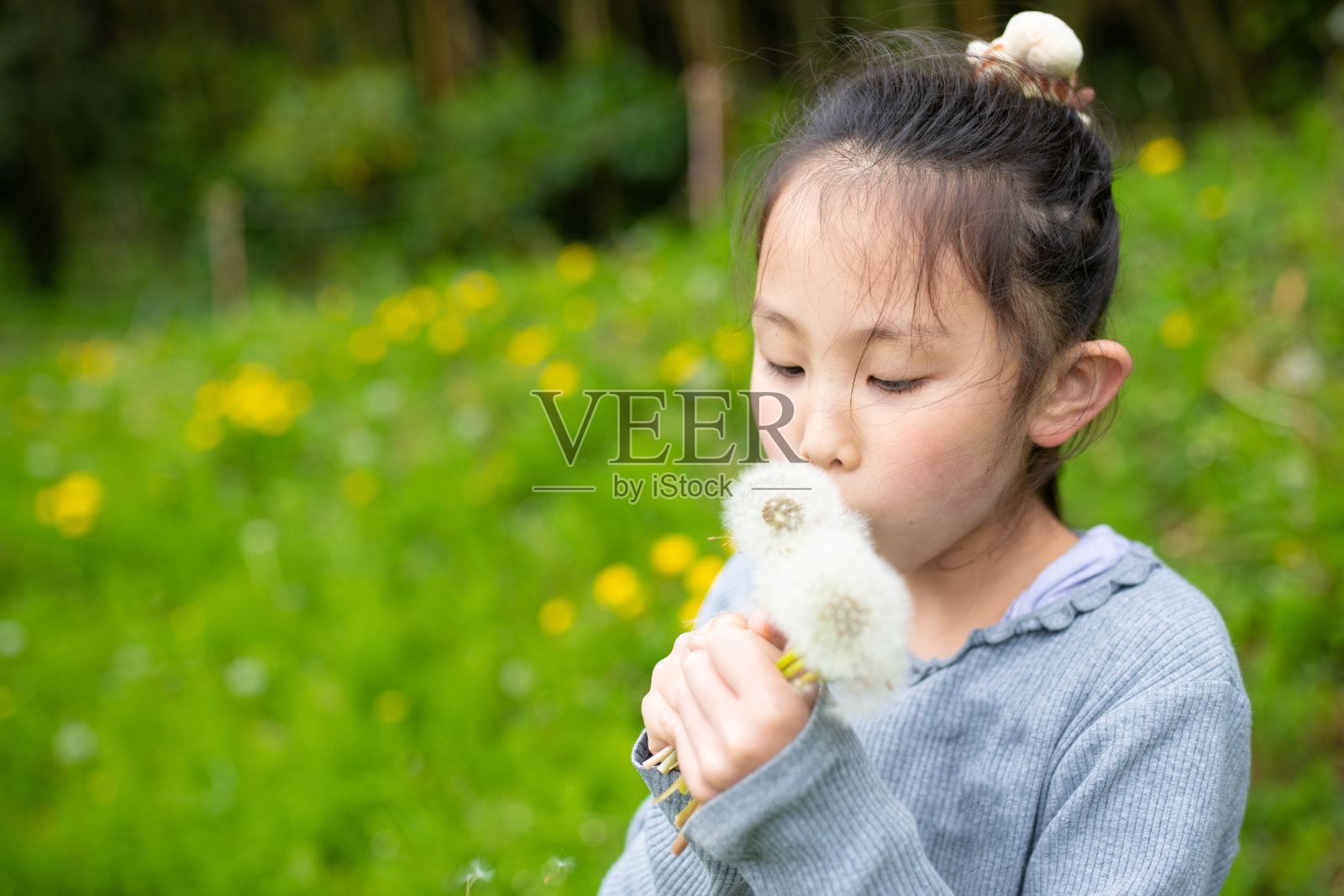 女孩吹走蒲公英的绒毛照片摄影图片