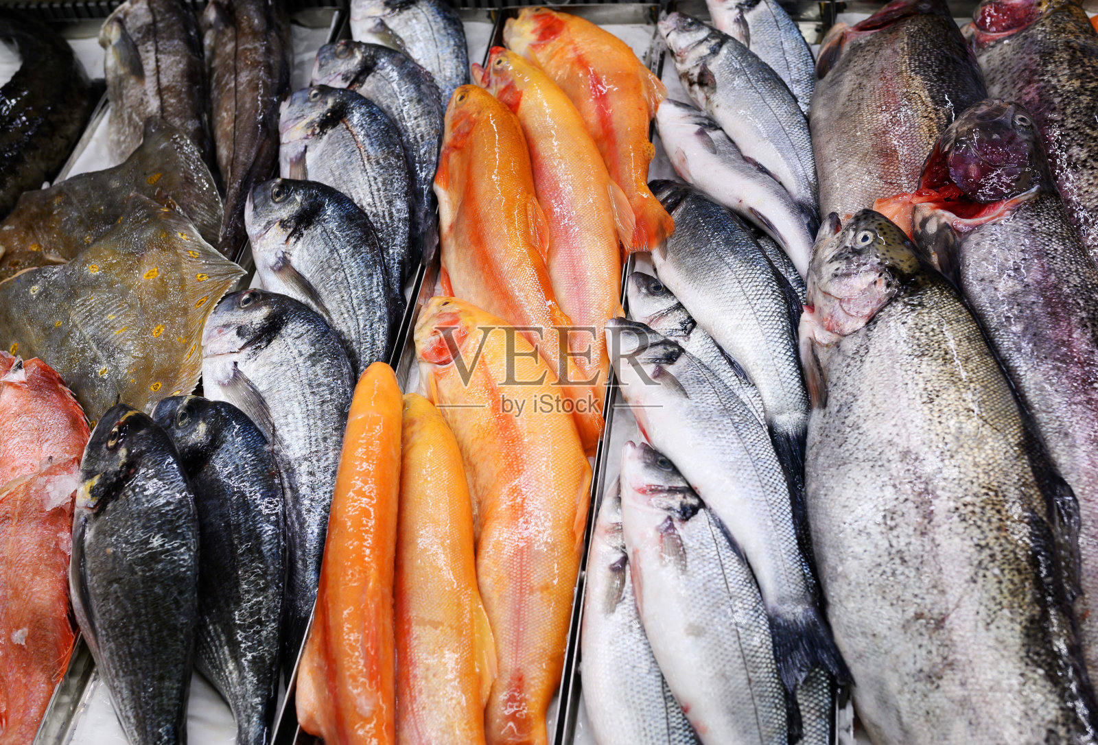 一堆鱼。鱼市是购买和开发前，为了了解质量和伟大的味道照片摄影图片