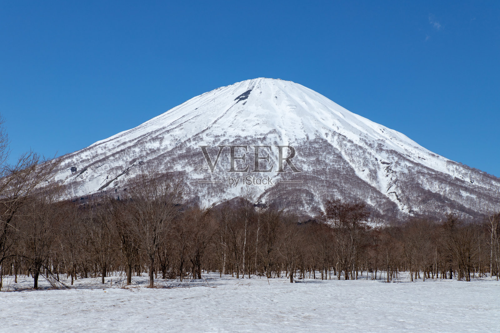 北海道初春的山景。照片摄影图片