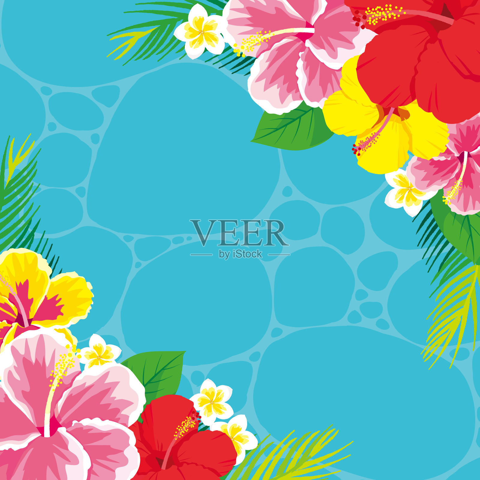 热带花卉木槿背景插画图片素材