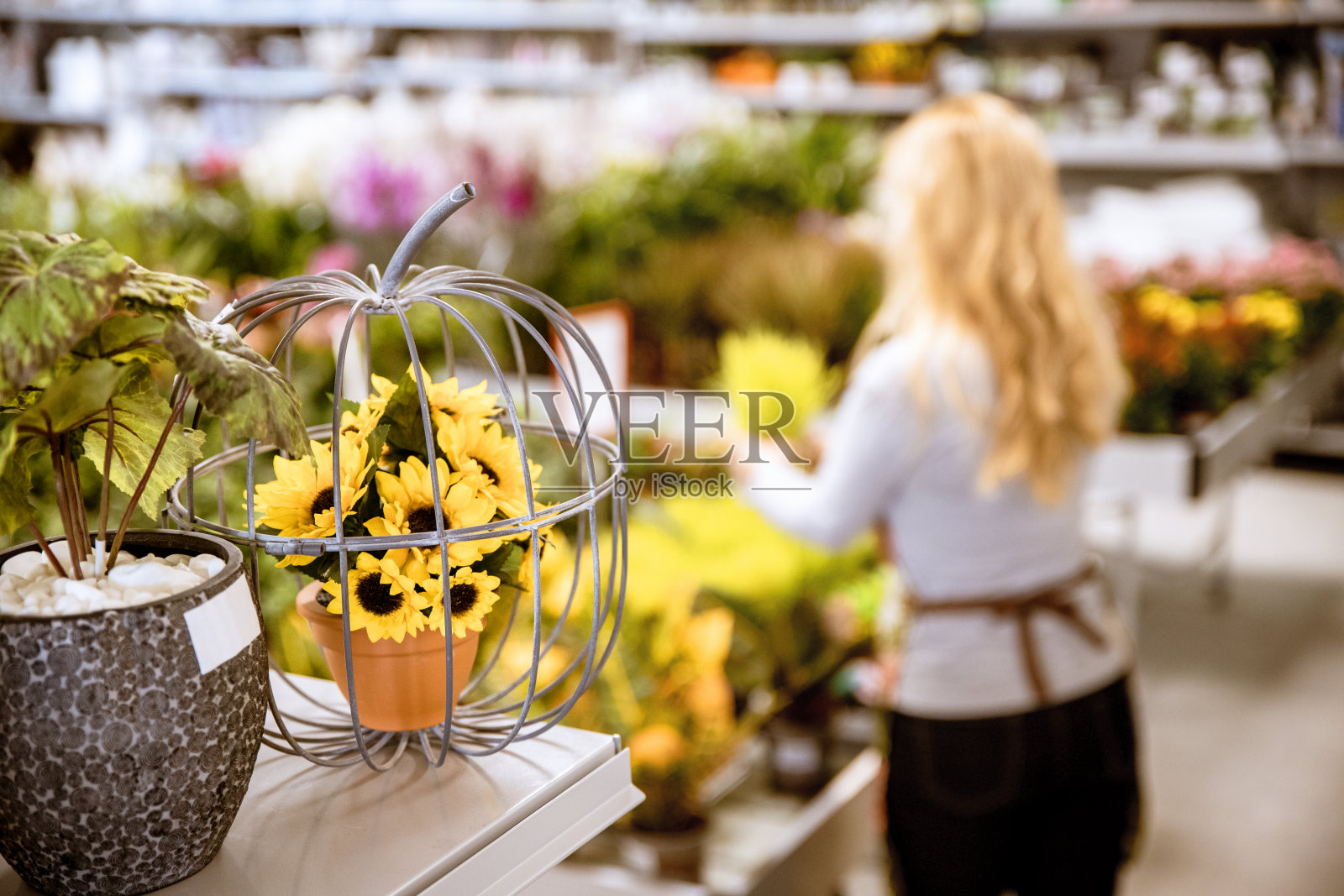 花园中心的背景照片摄影图片