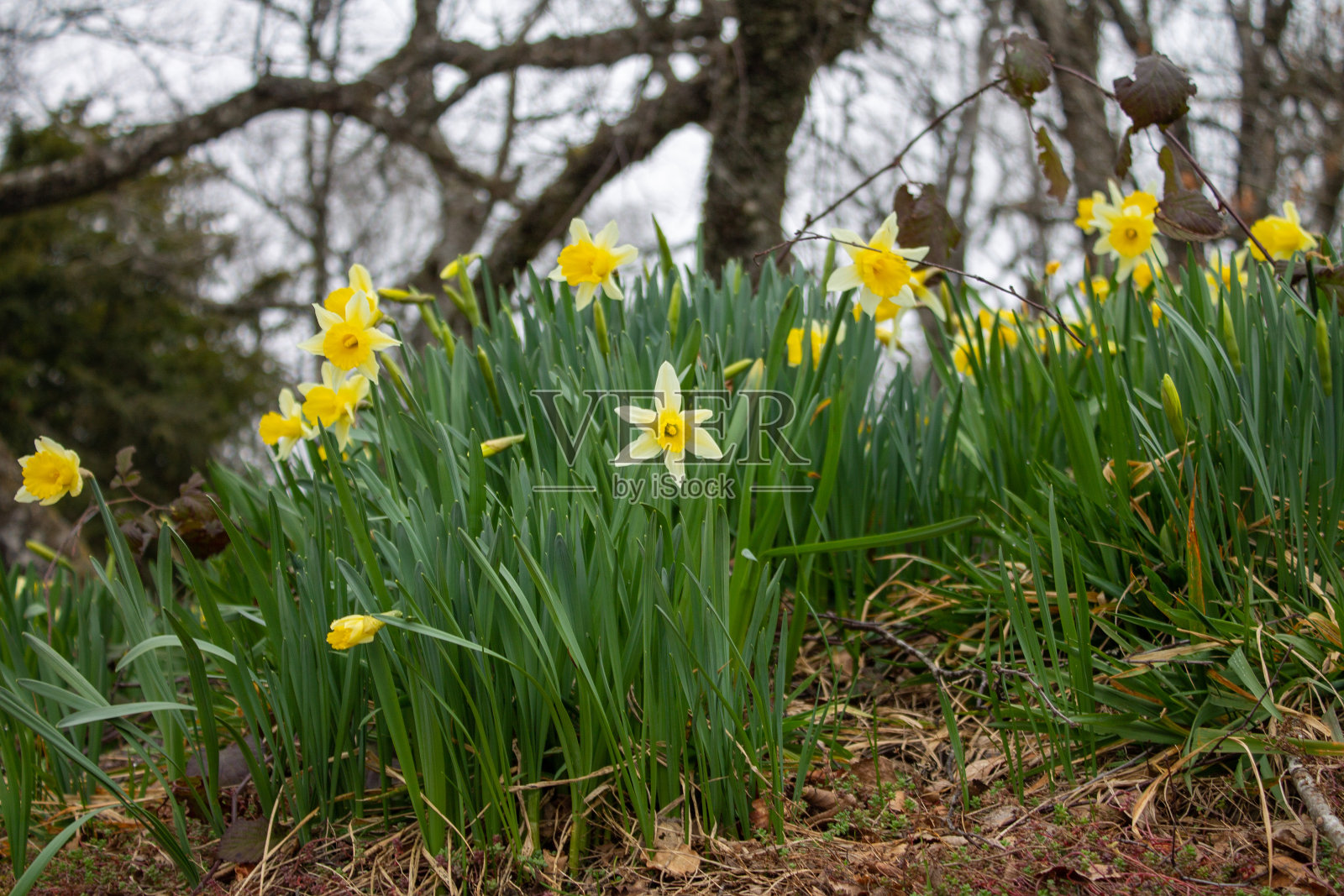 山上有巨大的石头和狭窄的通道的神奇地方。照片摄影图片