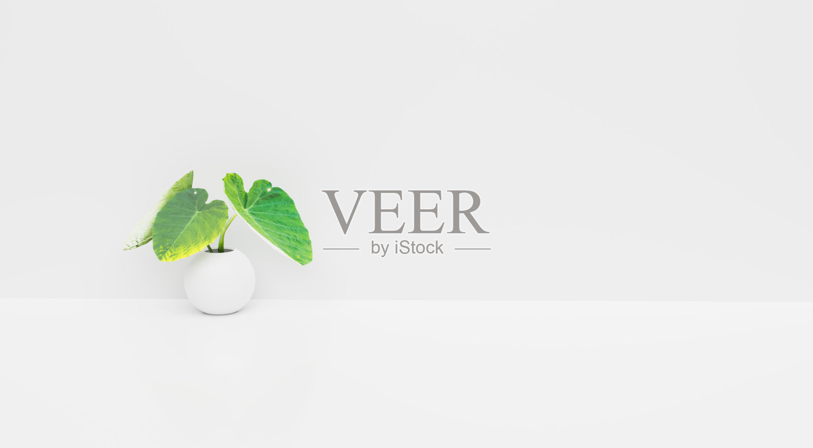 工作空间有小树的洁净室照片摄影图片