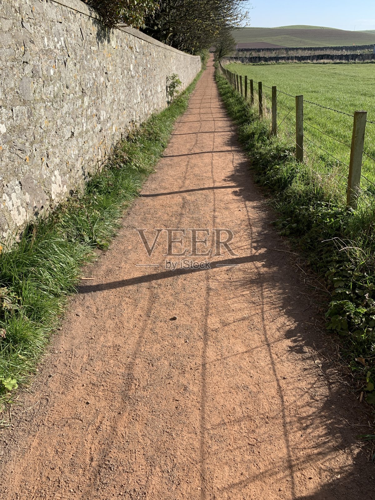 路径在阳光照片摄影图片