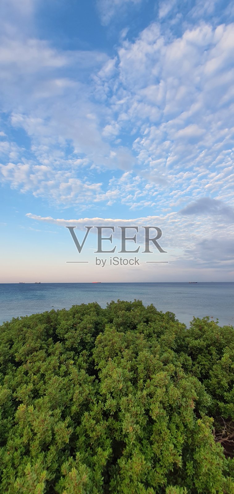 绿色，海和云照片摄影图片