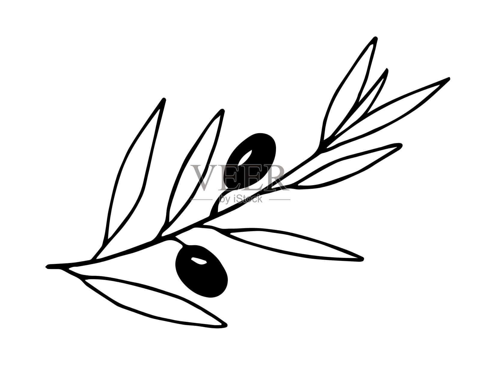 手绘简单的黑色轮廓，矢量墨水绘图。橄榄枝，树叶。用于设计菜单、产品、厨具、菜肴、食谱。用于标签和包装，护理化妆品。插画图片素材