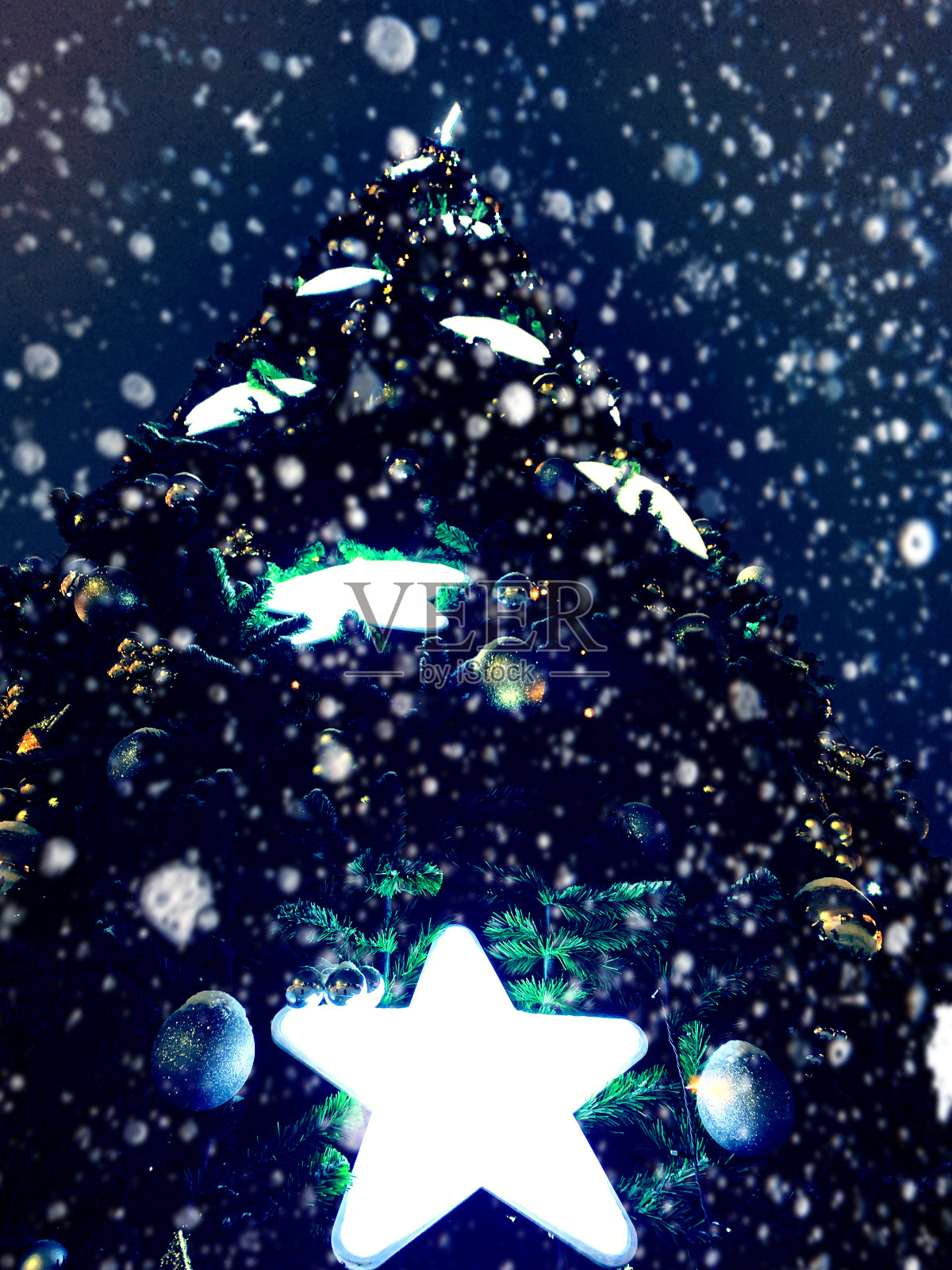 彩灯圣诞树照片摄影图片