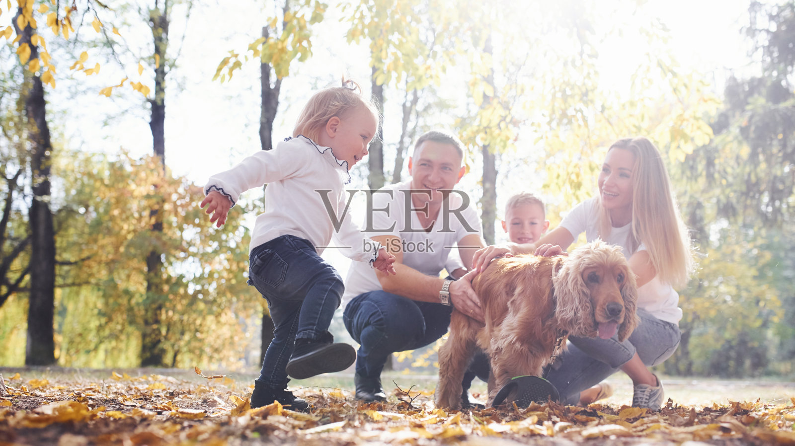 一个快乐的年轻的家庭和狗一起在秋天的公园休息照片摄影图片