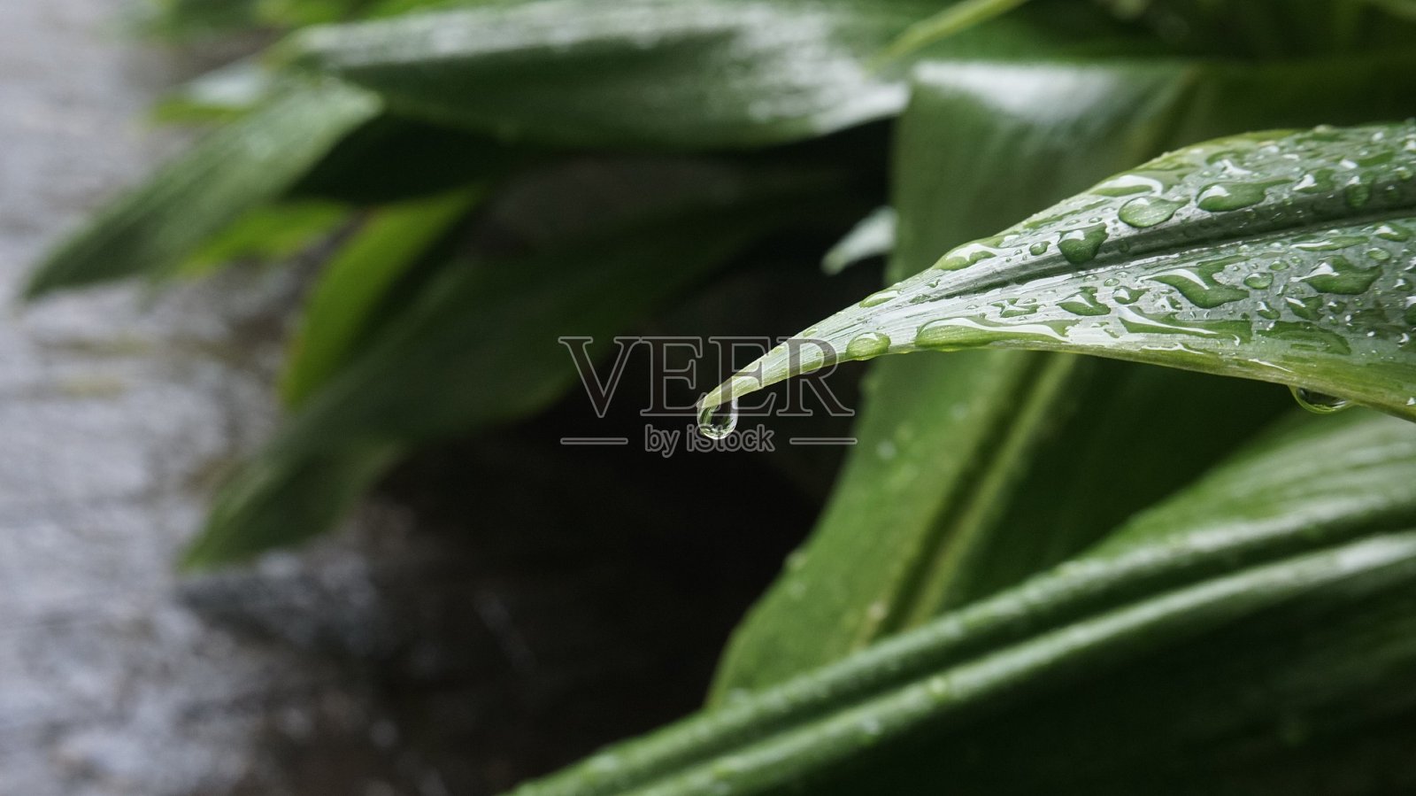 下降的细节照片摄影图片