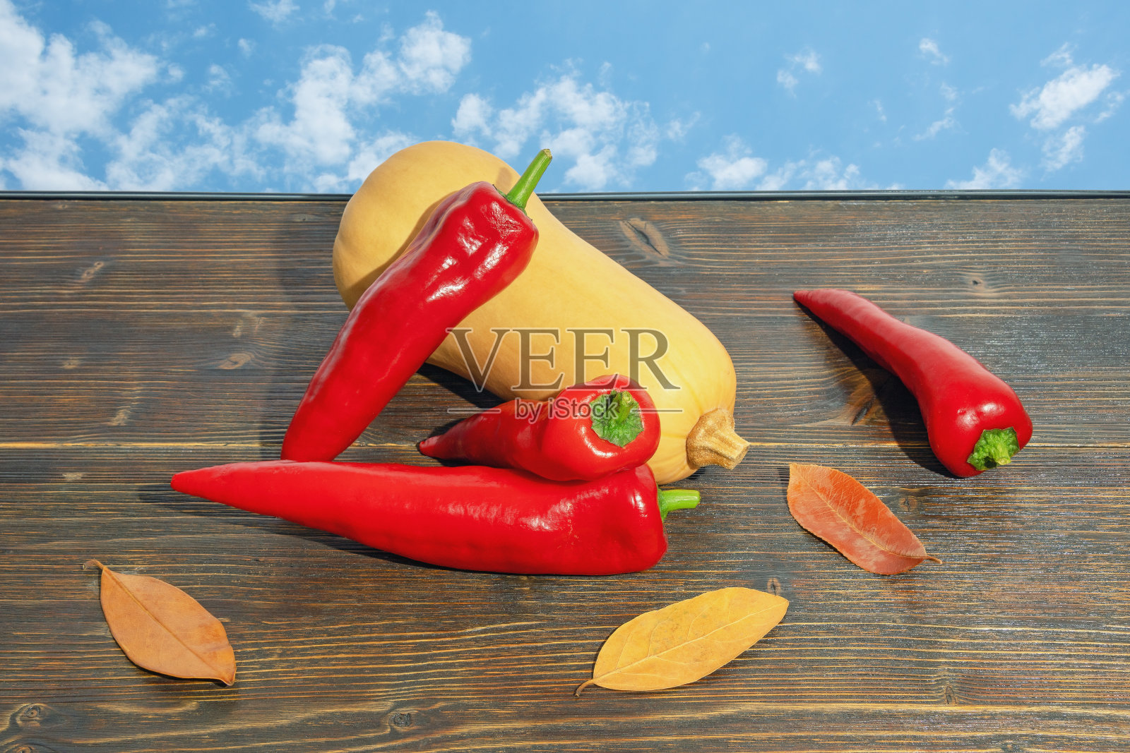 桌上放着红甜椒和南瓜照片摄影图片