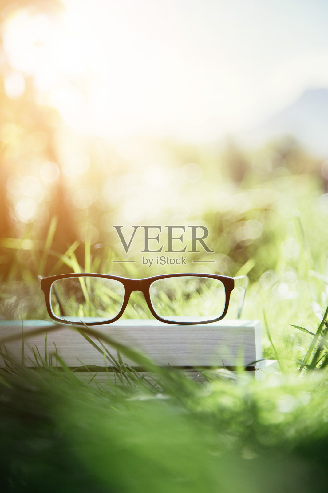 户外学习:眼镜上的书户外公园，春天的时间照片摄影图片