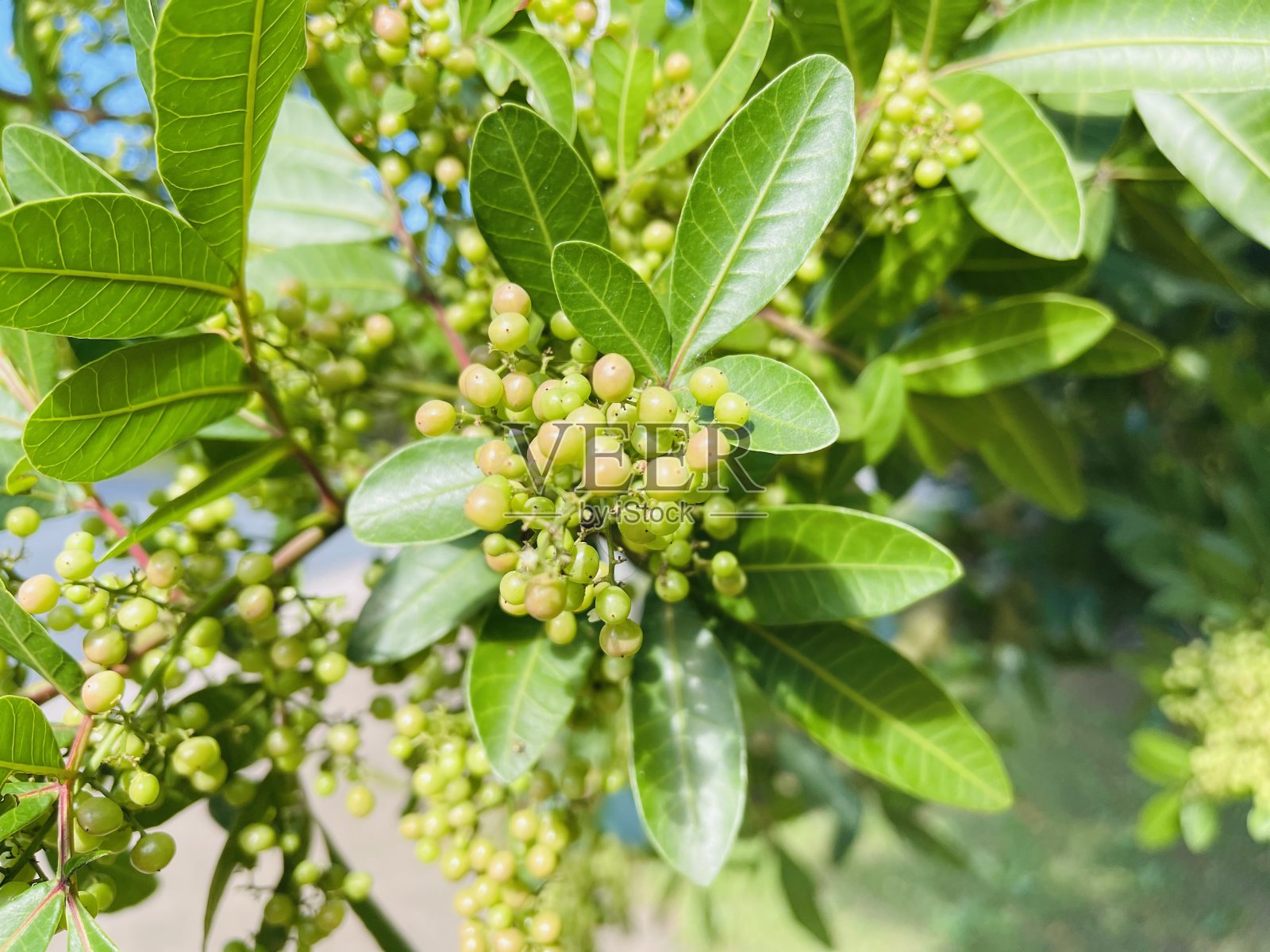 神奇的世界照片摄影图片