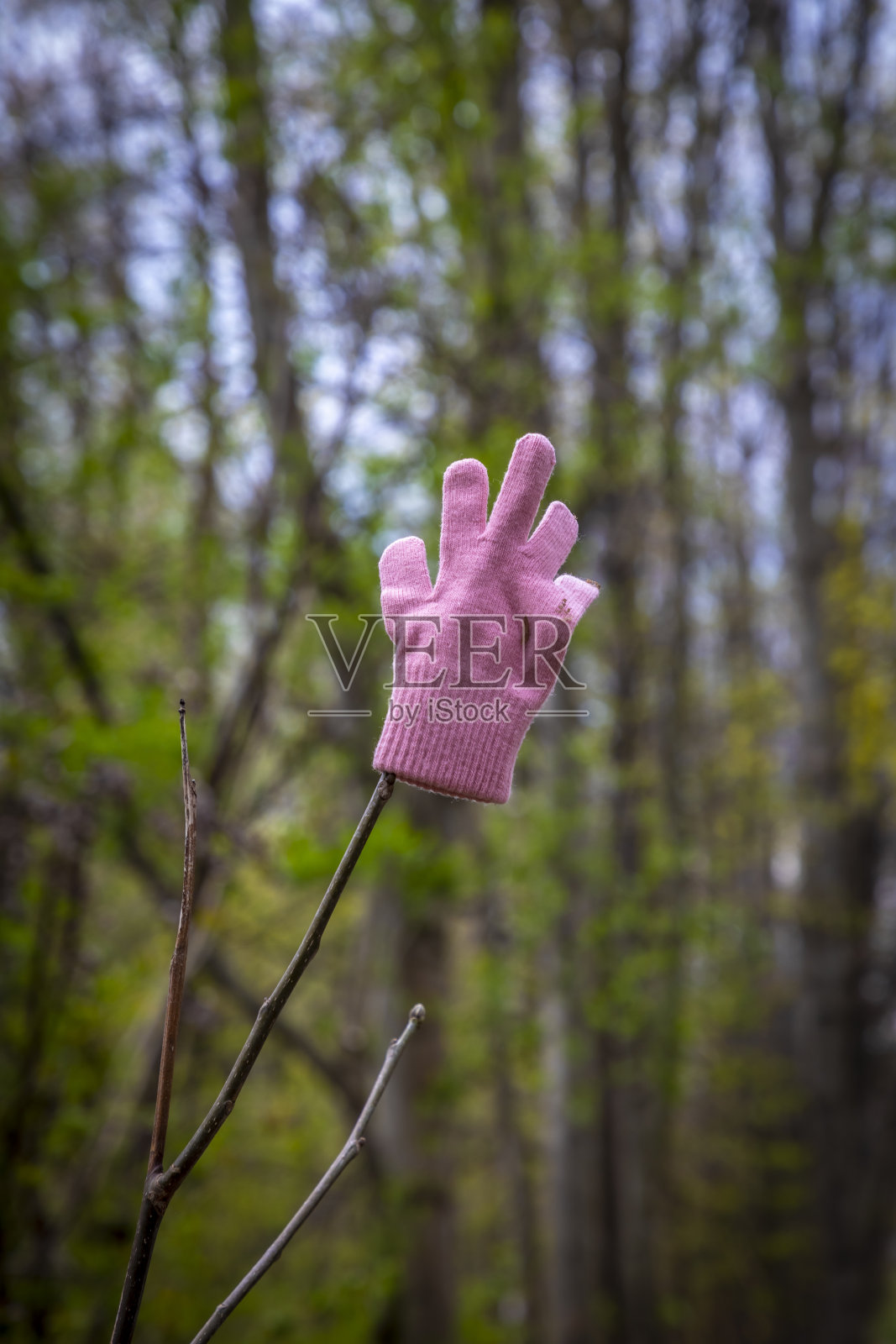 手套照片摄影图片