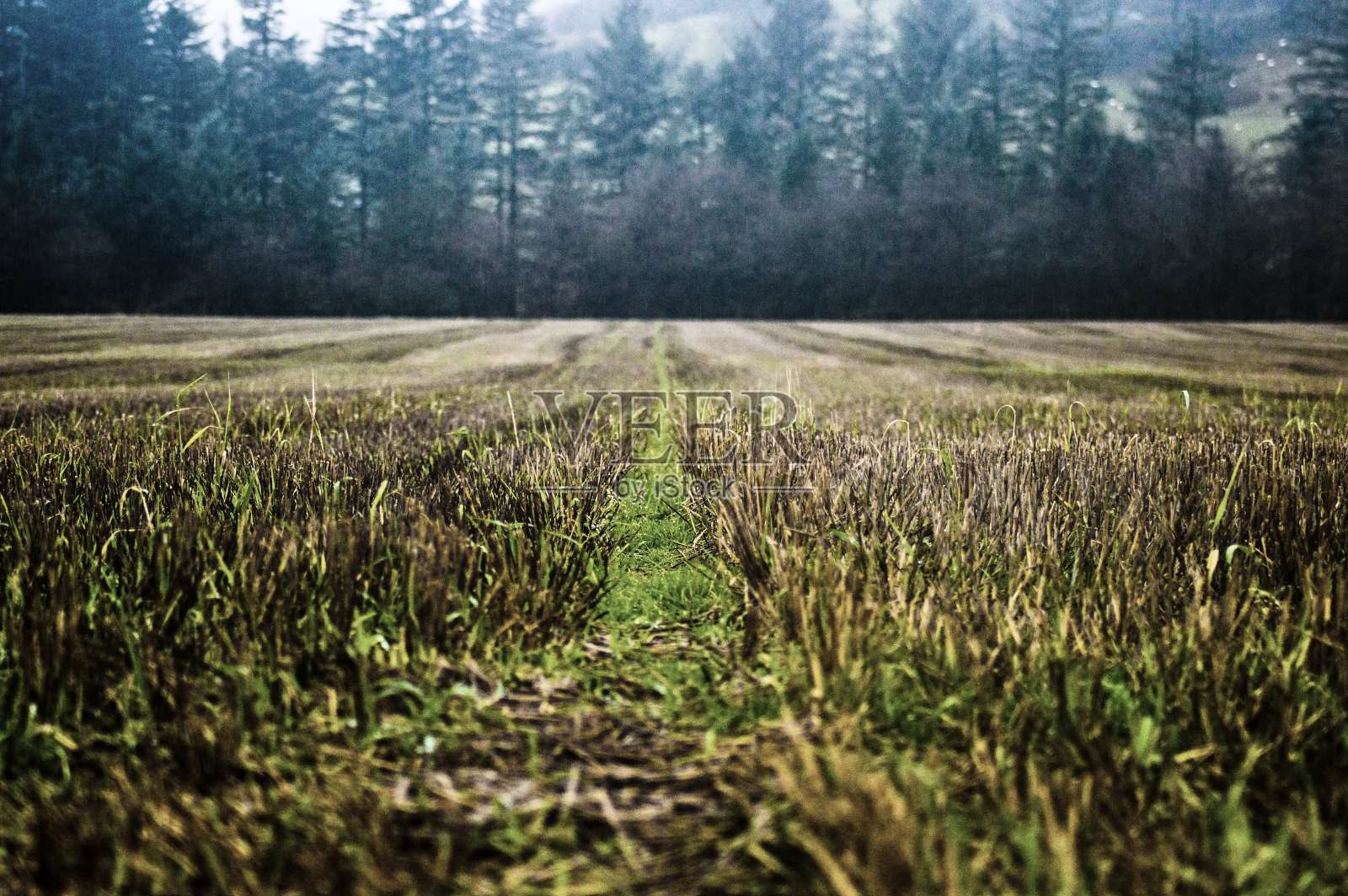 苏格兰的风景照片摄影图片