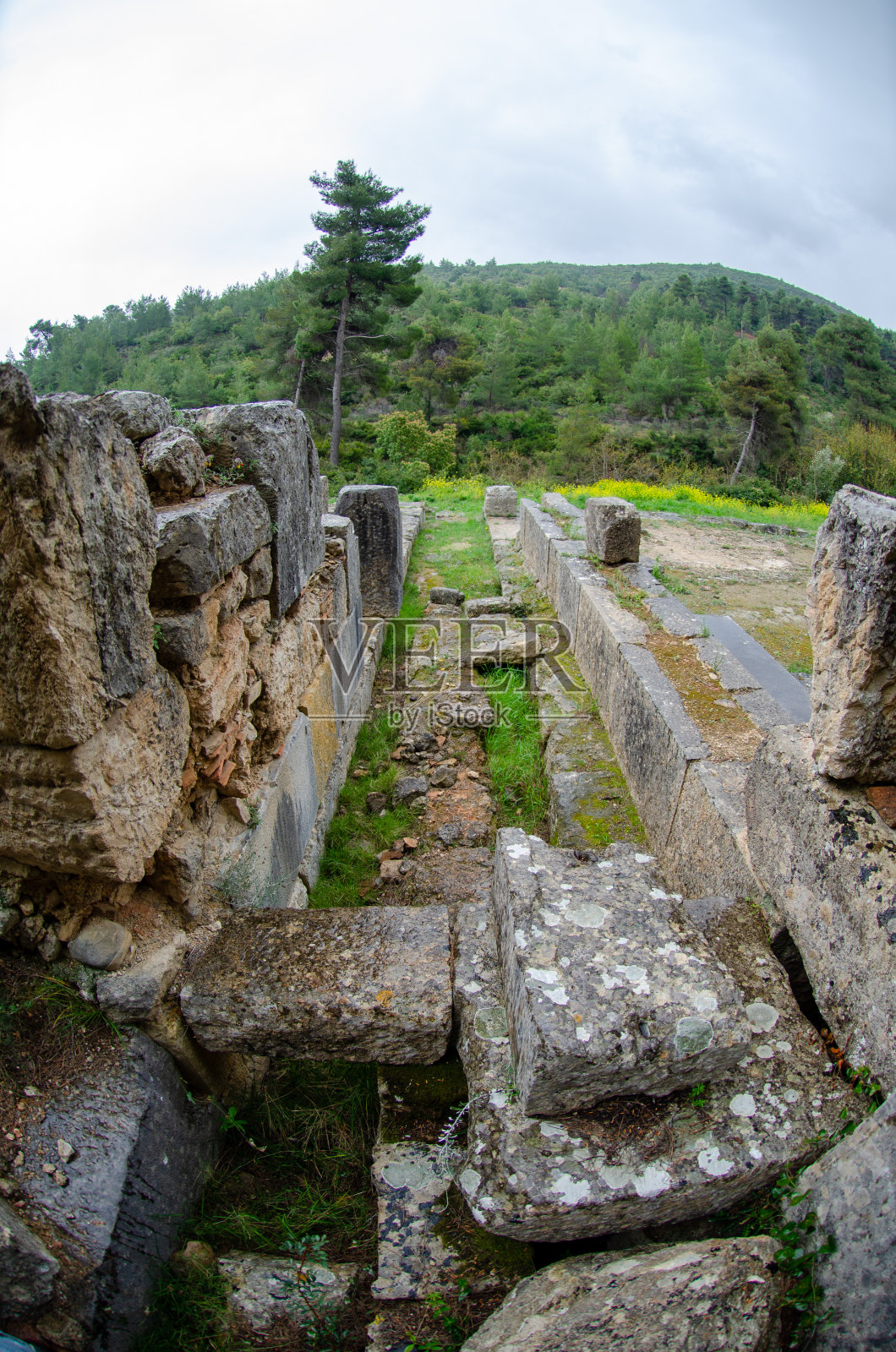 希腊奥罗泊斯amphiarea的妇女澡堂建筑遗址照片摄影图片