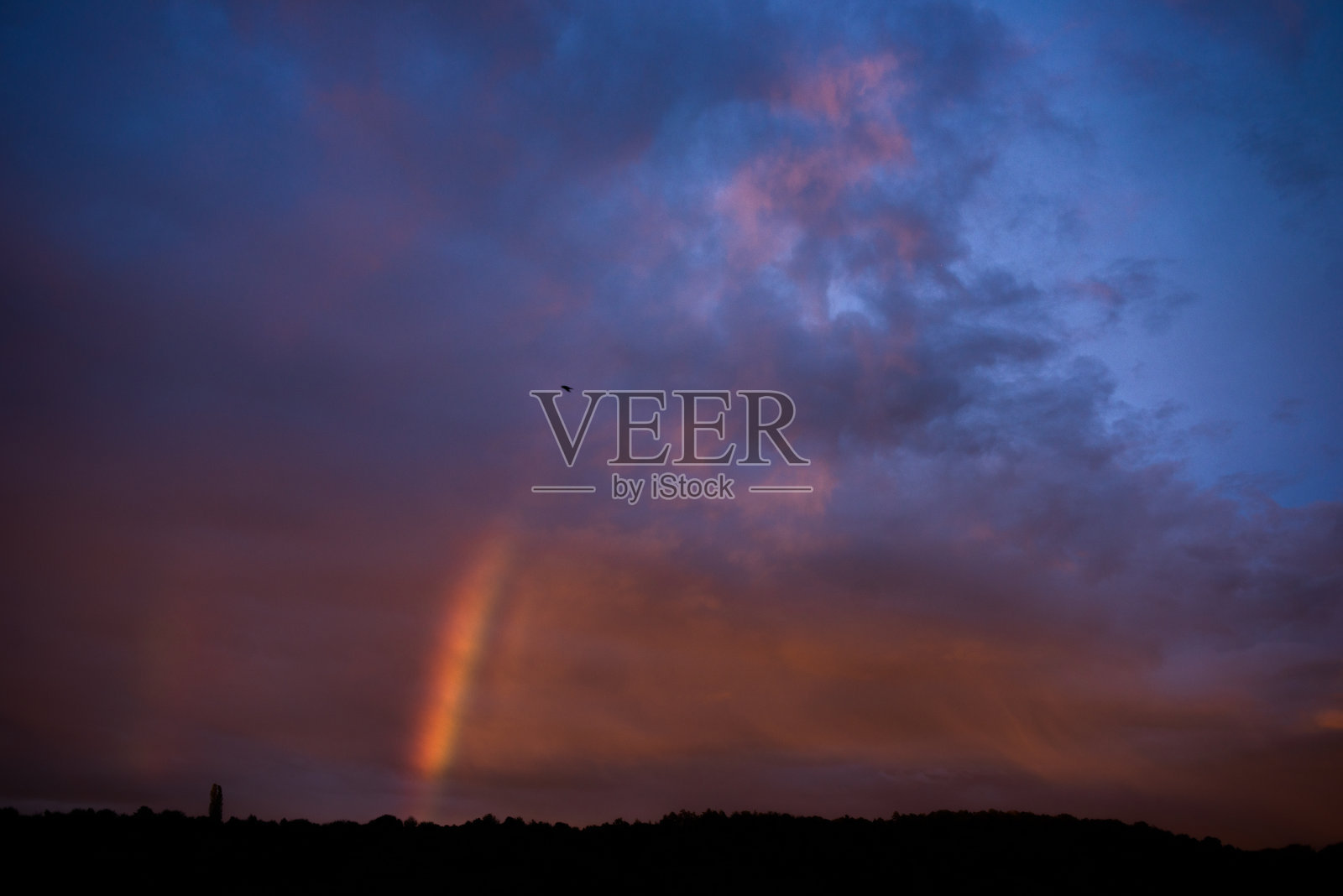 明亮的彩虹照片摄影图片