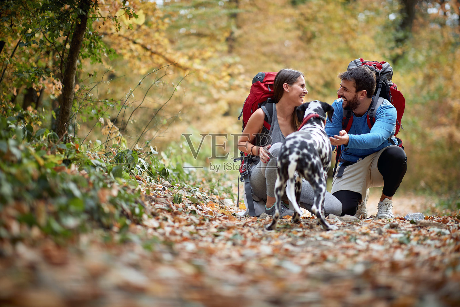 夫妇远足享受与狗照片摄影图片