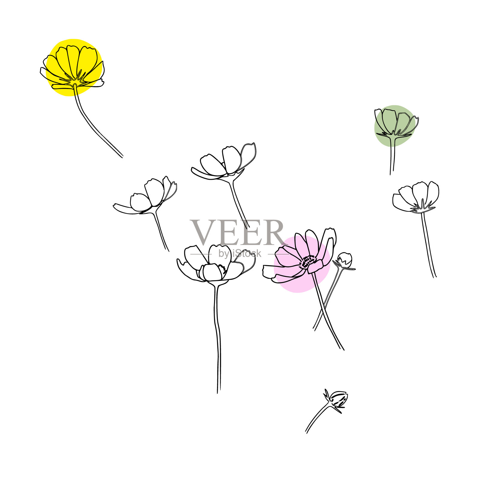 抽象连续线图。美丽的花朵。插画图片素材