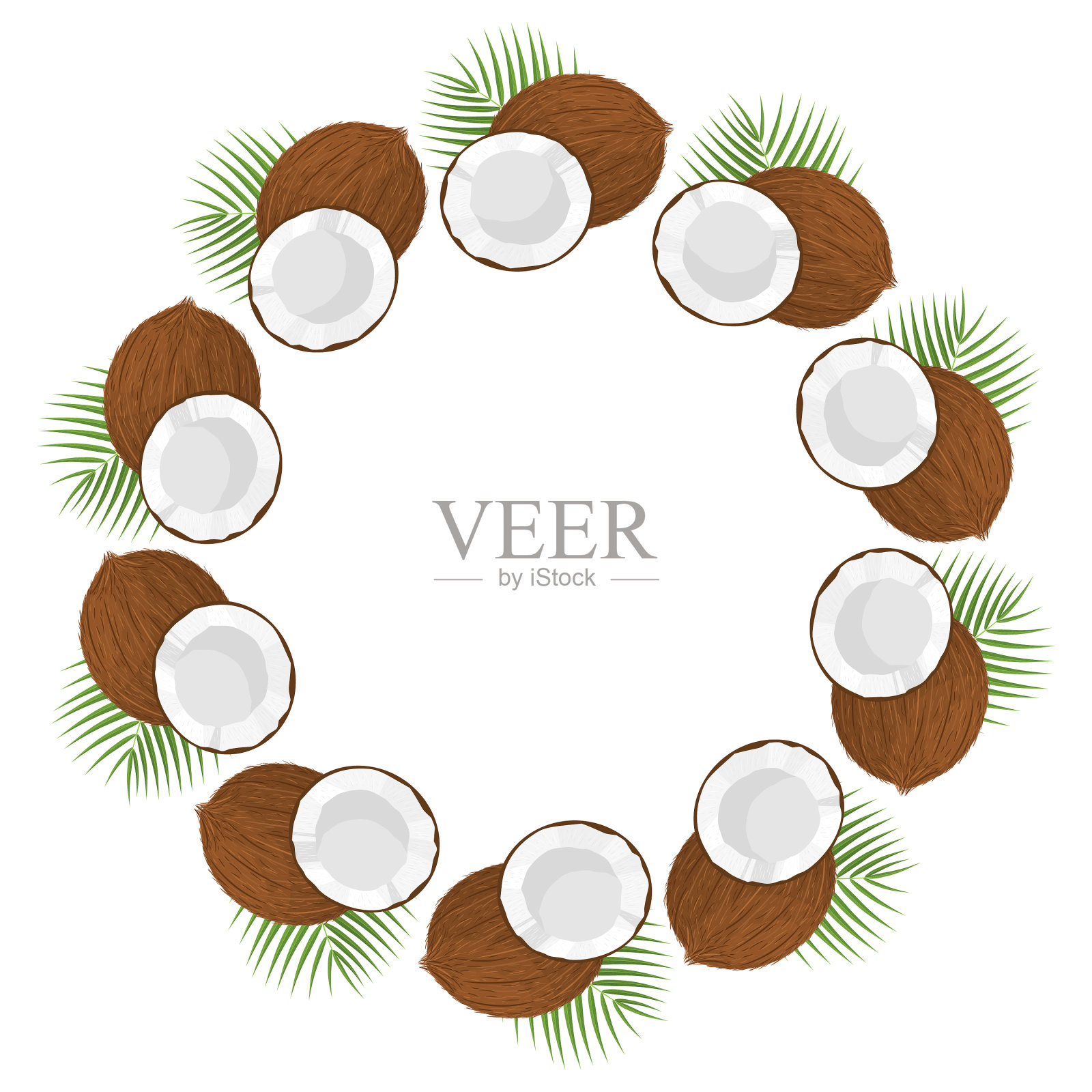 用整个半个椰子和叶子做成的花环插画图片素材