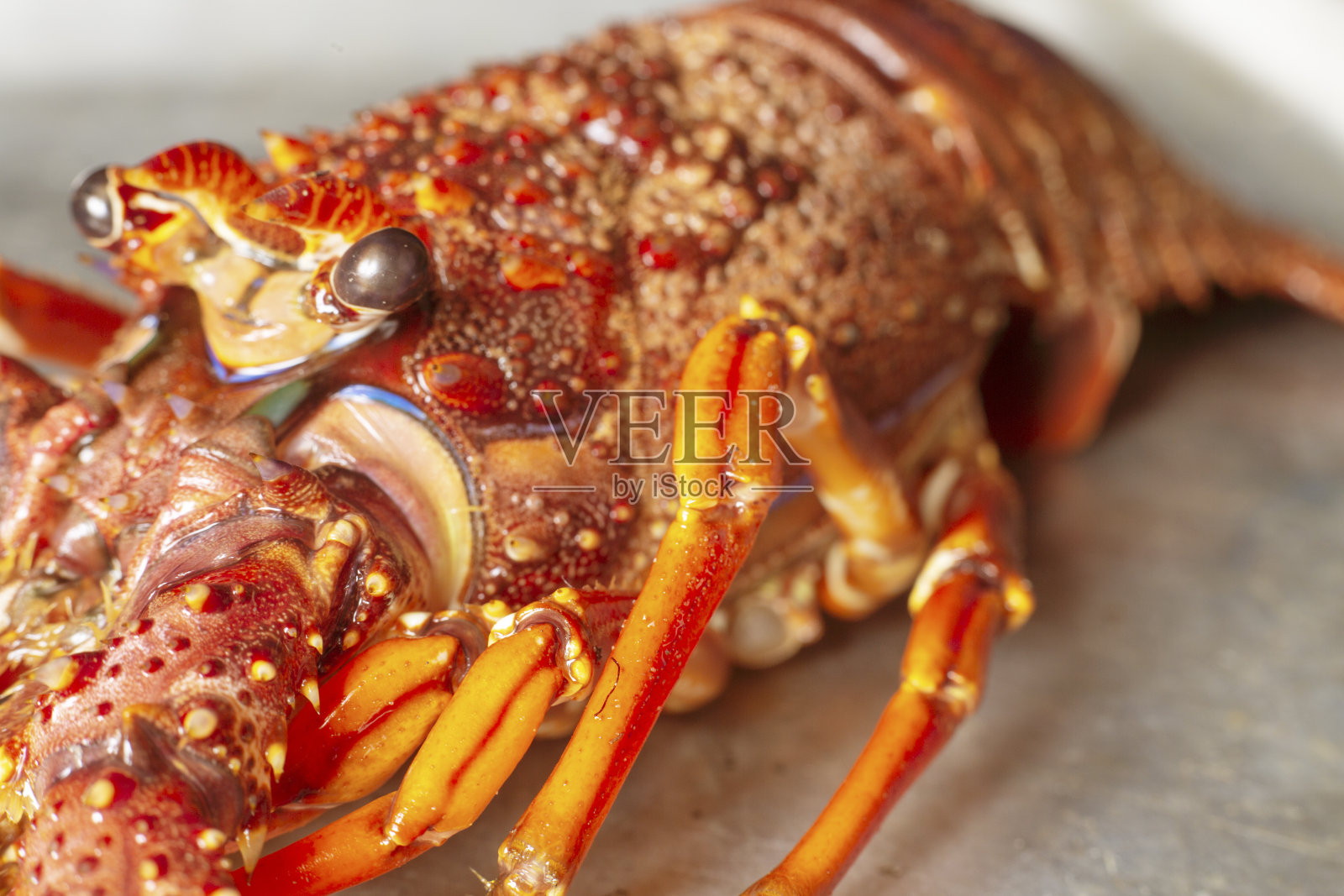 小龙虾龙虾照片摄影图片