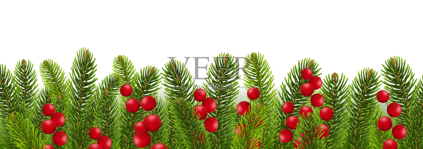 与冬青浆果镶边的冷杉树插画图片素材