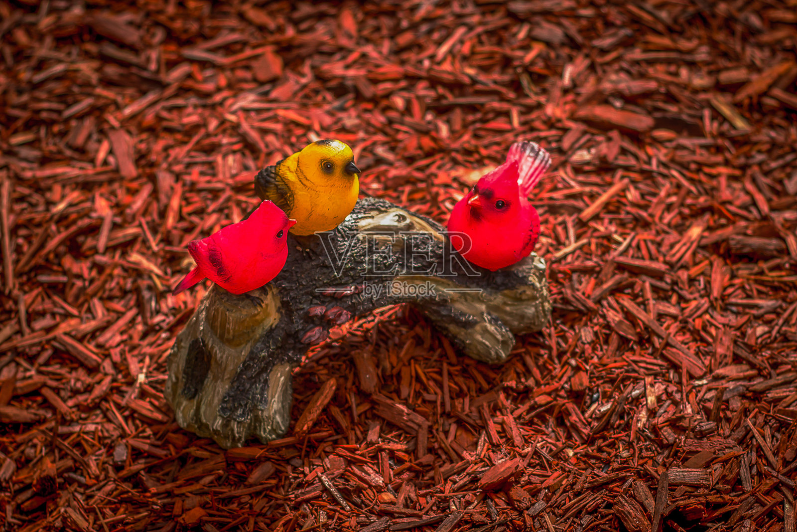 树干上点缀着三只鸟，两只红的，一只黄的照片摄影图片