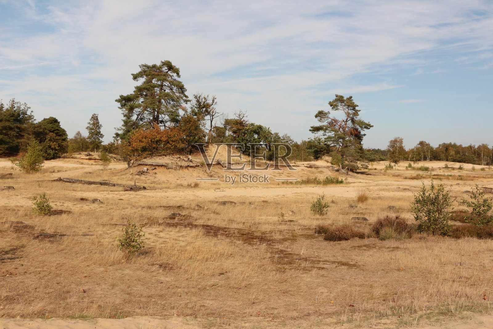 荷兰赫布斯特伊姆国家公园德隆斯和德鲁嫩塞杜伊宁照片摄影图片