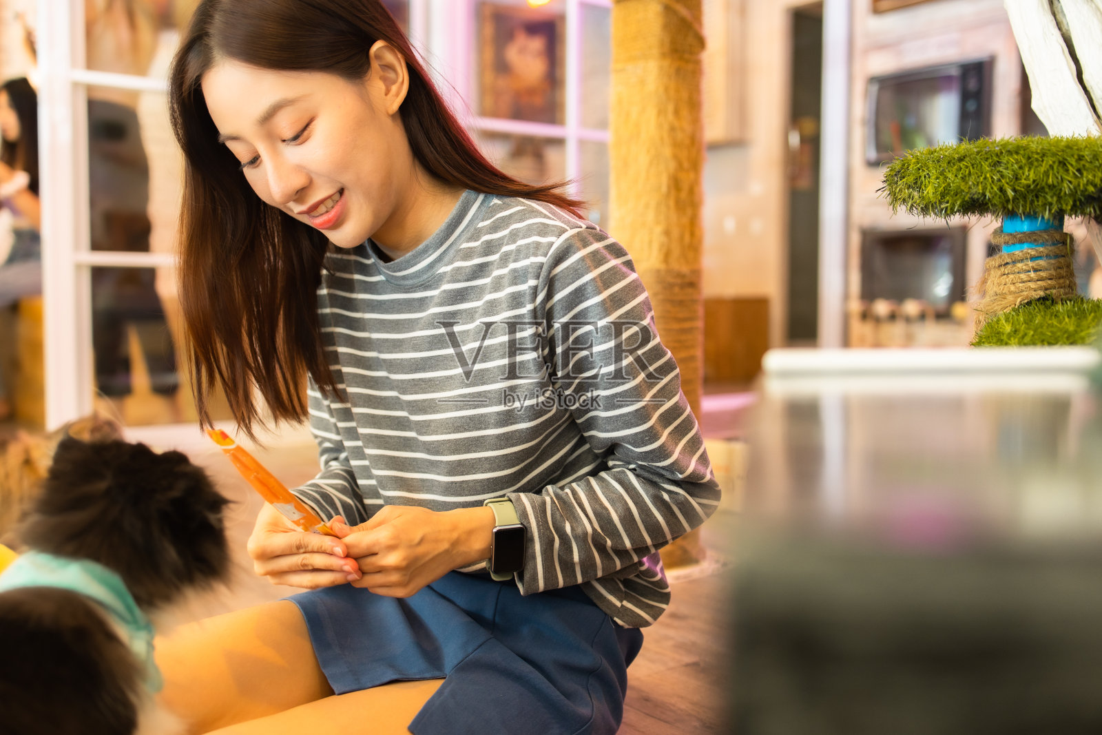 快乐的猫在家里和她的主人玩。迷人的年轻女子喂她的猫在咖啡馆。照片摄影图片