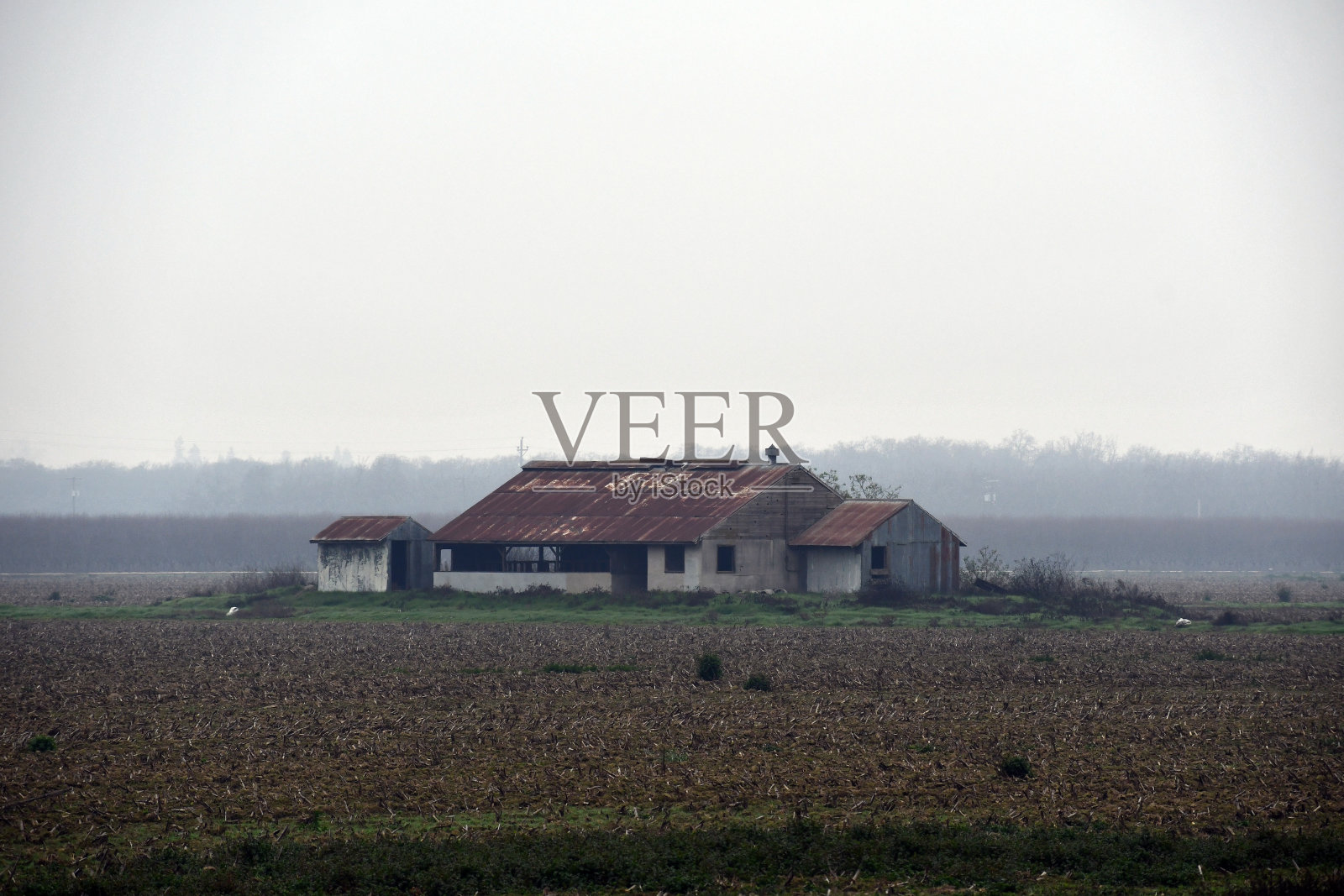 雾中的废弃的木制农场照片摄影图片