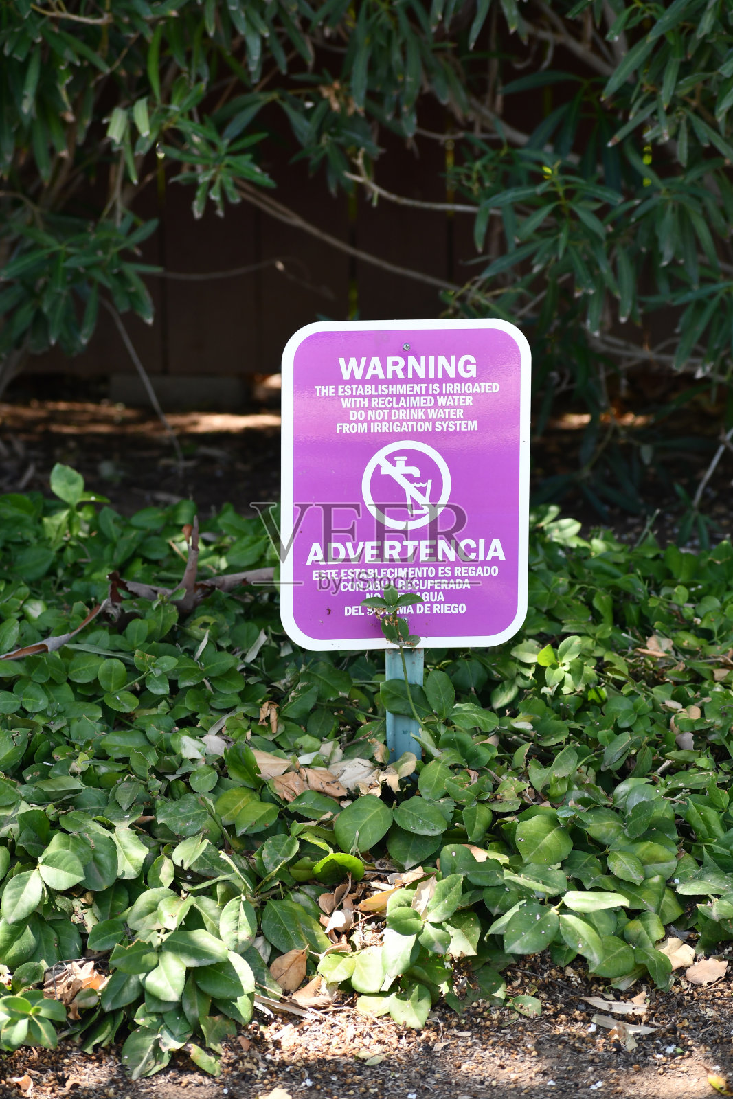 警告收回水紫色标志照片摄影图片