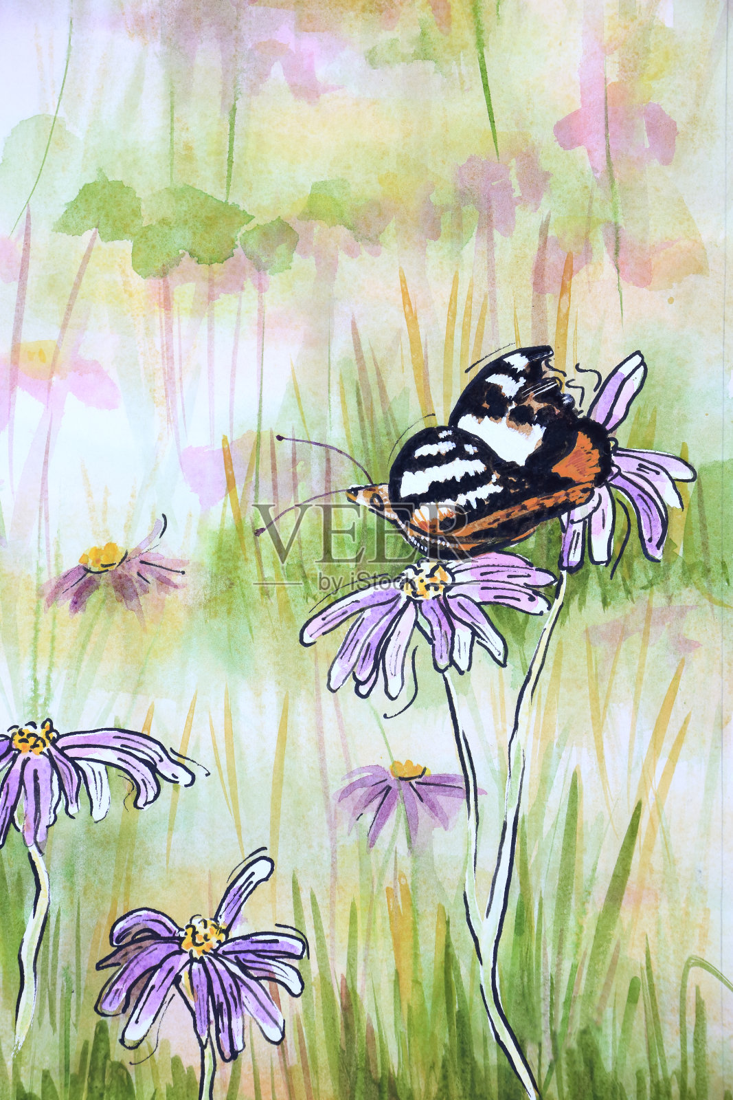 黑脉金斑蝶栖息在紫菀花混合介质画上插画图片素材