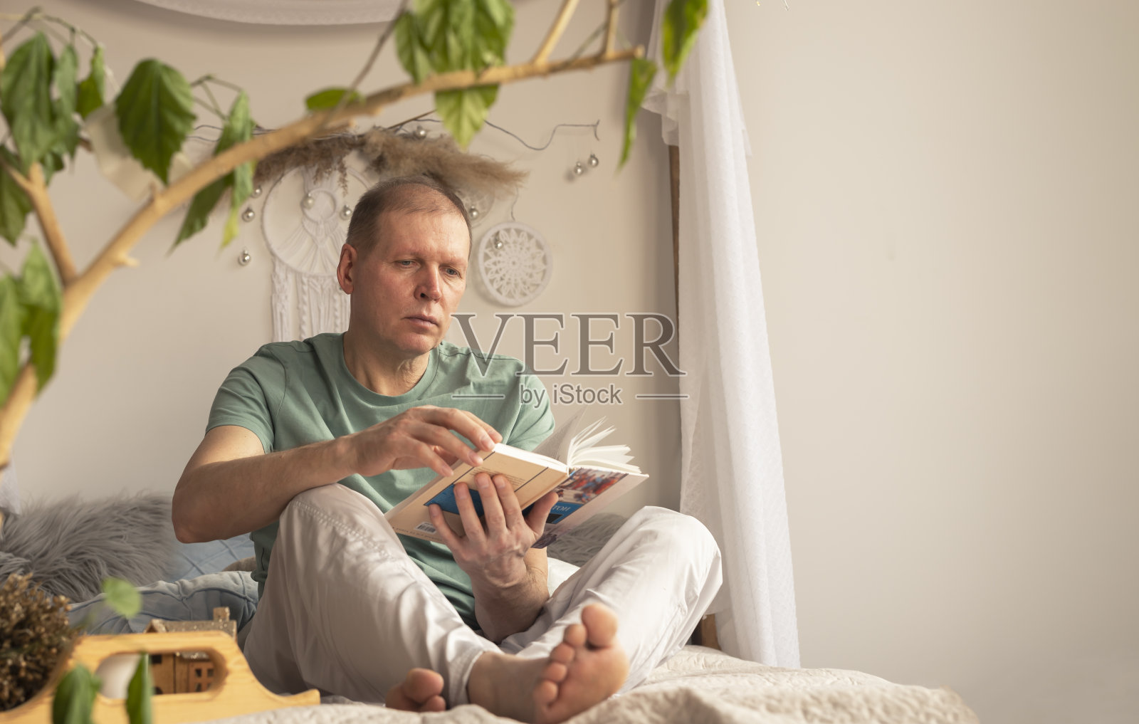 成熟的白种人阅读在现代时尚舒适的室内植物生态风格与文本拷贝空间照片摄影图片