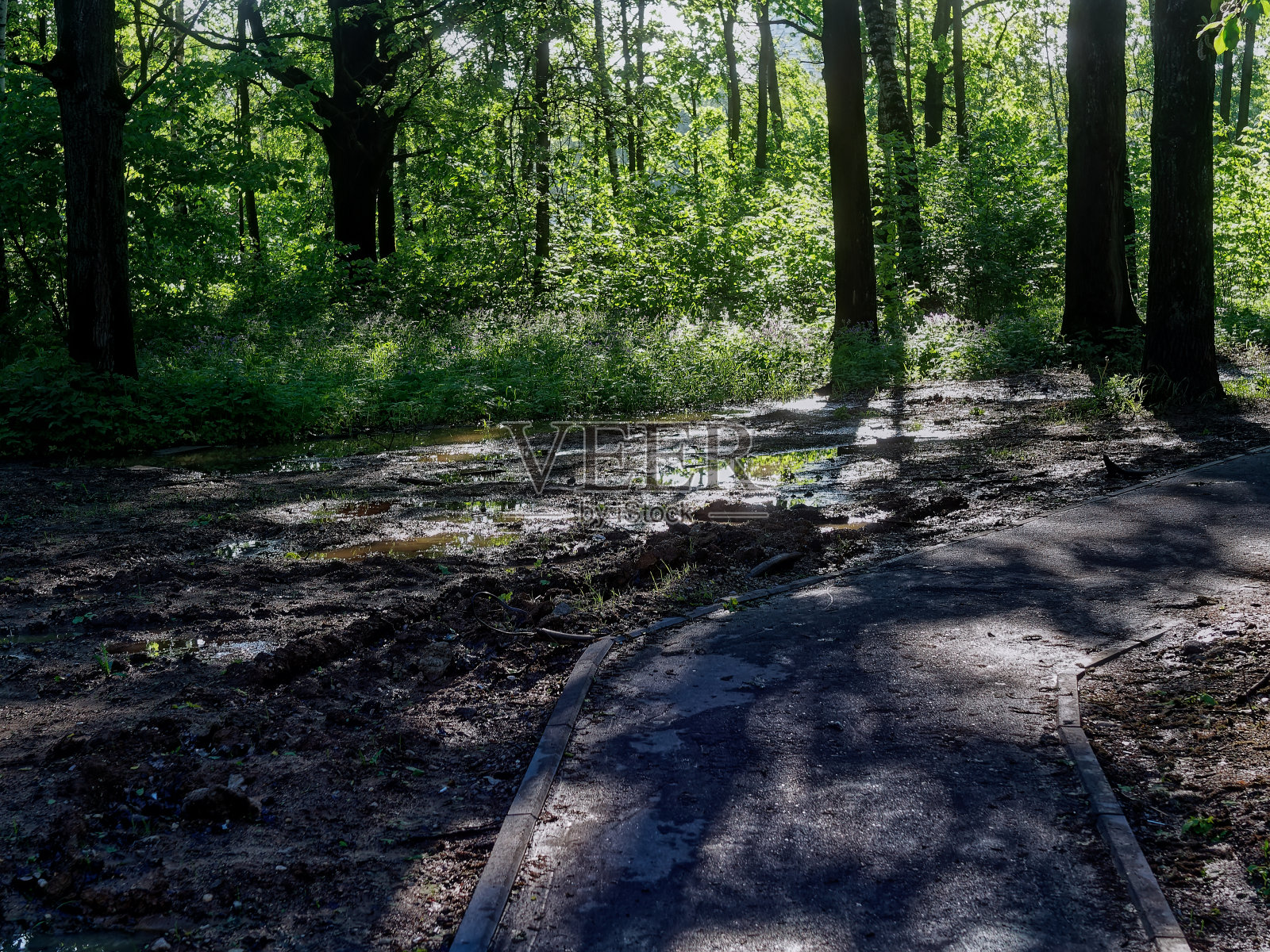 雨后在公园里乘凉照片摄影图片