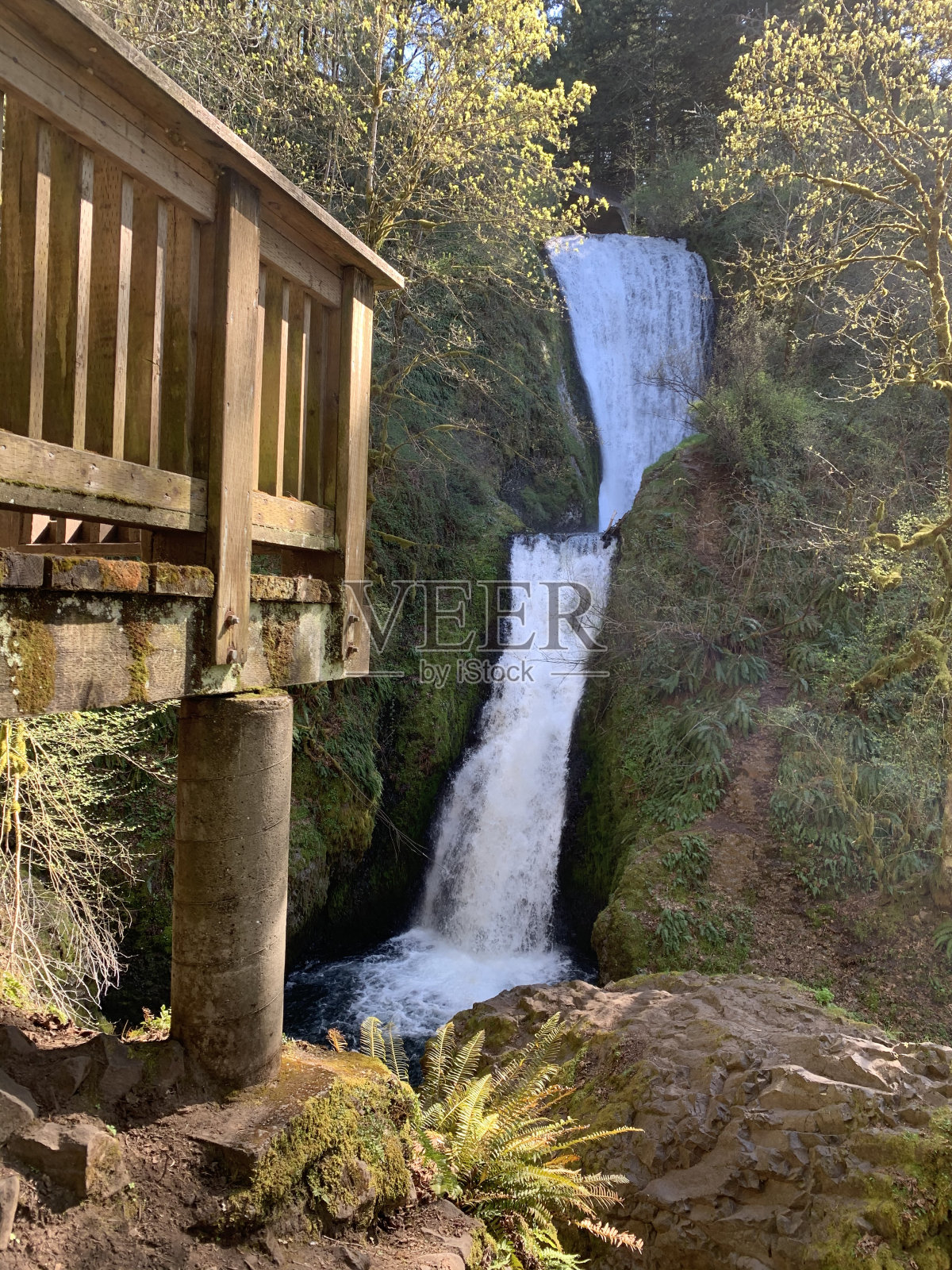 俄勒冈州瀑布照片摄影图片