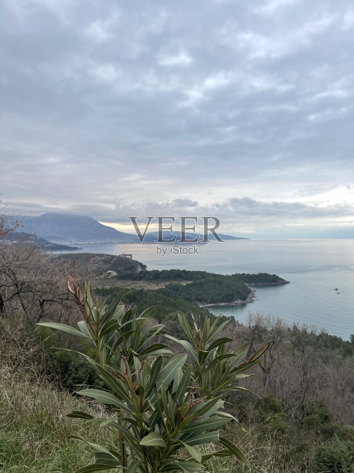 海照片摄影图片