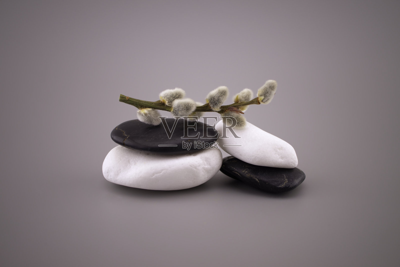 黑白石柳絮枝，禅静物照片摄影图片