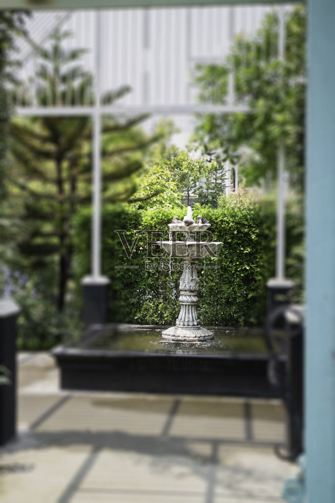 郁郁葱葱的热带花园，各种植物和花卉照片摄影图片