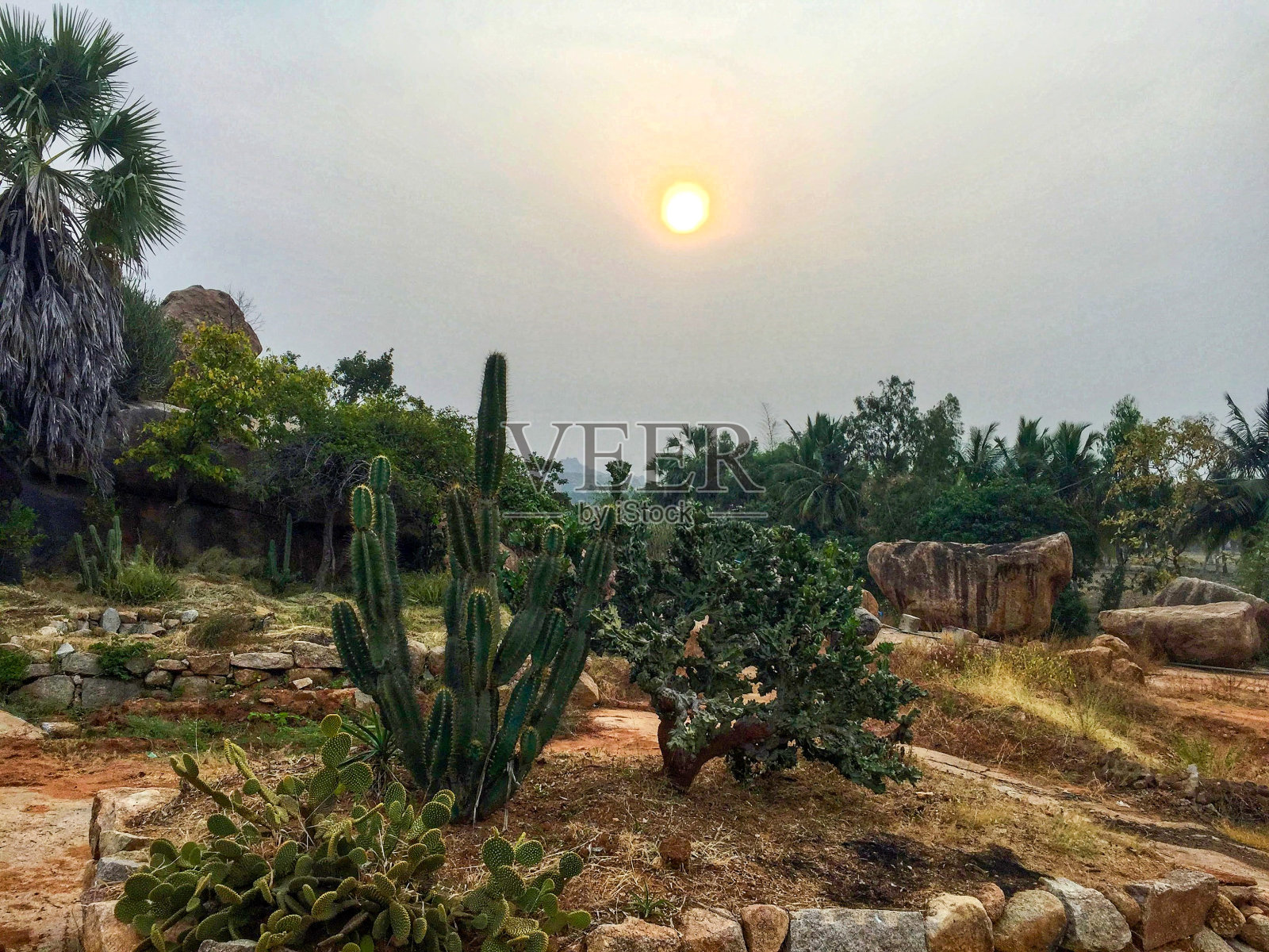 日落照片摄影图片