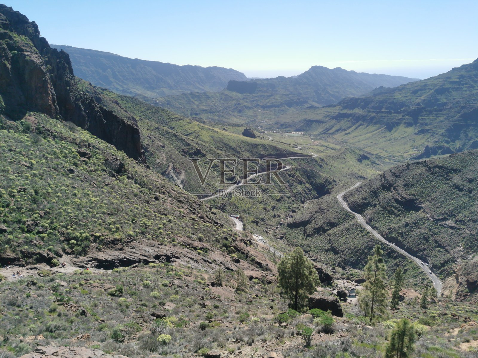 蓝知更鸟pond照片摄影图片