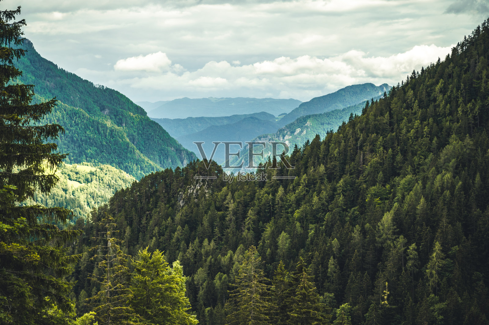 夏季高山乡村景观与高山和农场在森林林间空地。洛加尔山谷(洛加尔斯卡Dolina)从全景道路，索尔卡瓦，斯洛文尼亚照片摄影图片