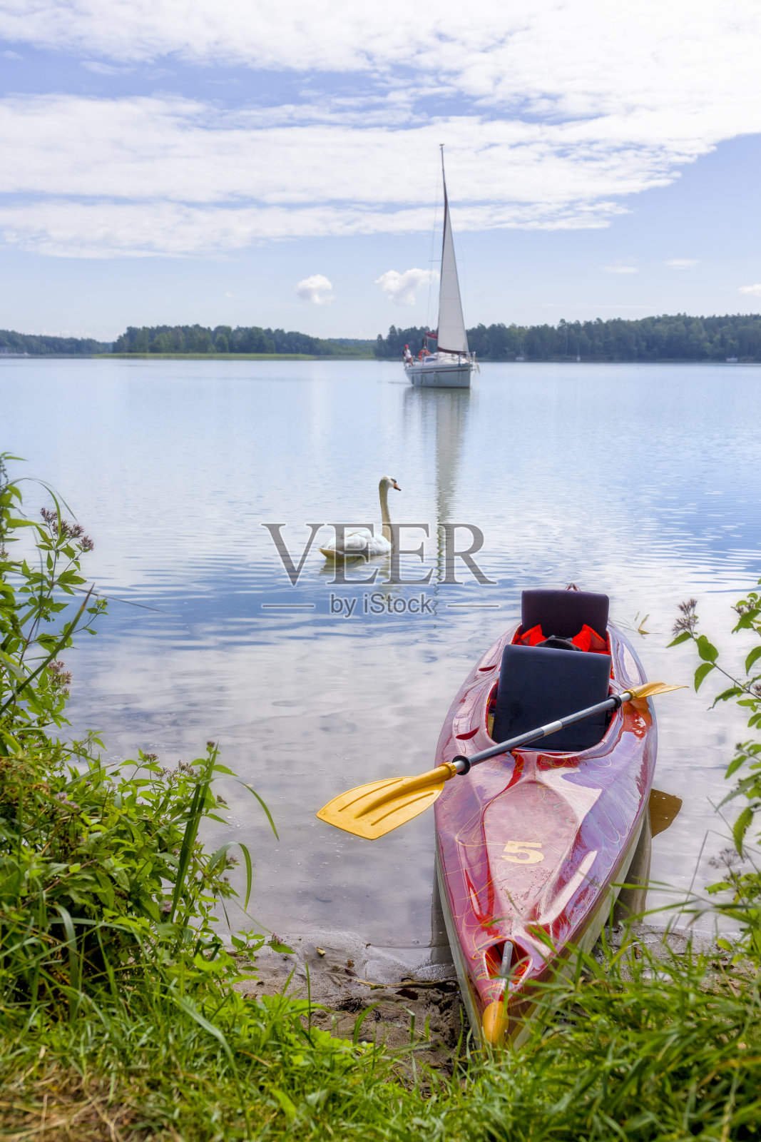 在波兰度假-在马苏里亚湖上划皮艇照片摄影图片