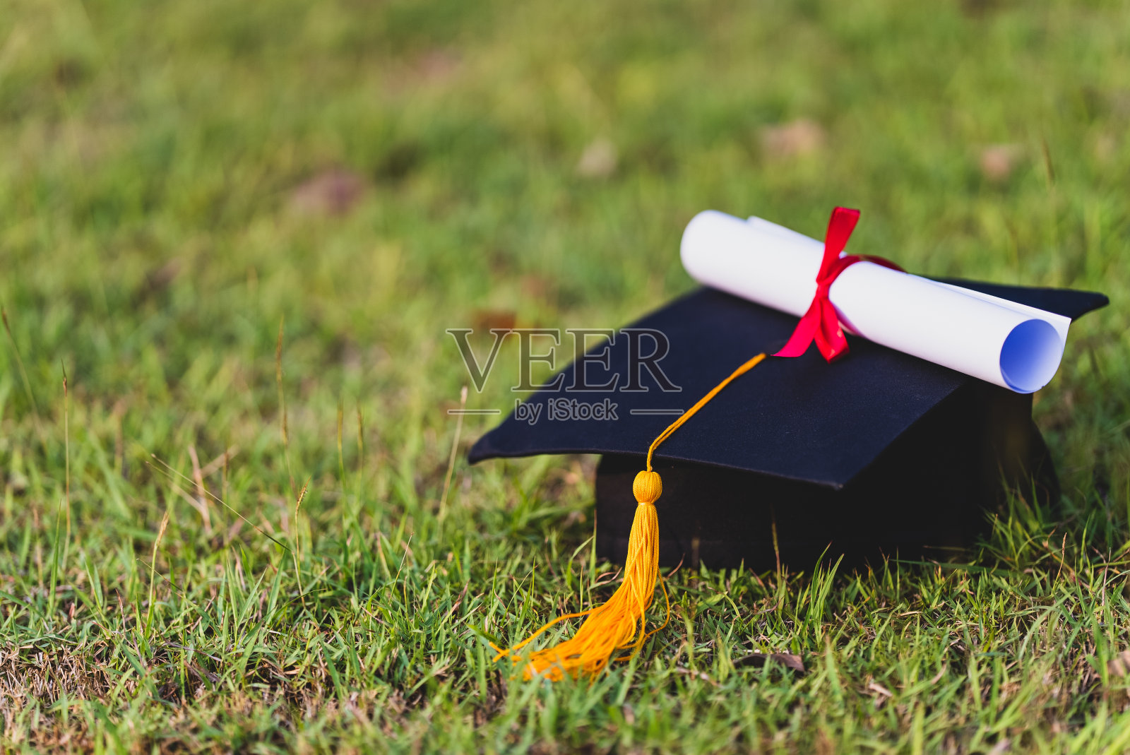 草地上的黑色学位帽照片摄影图片