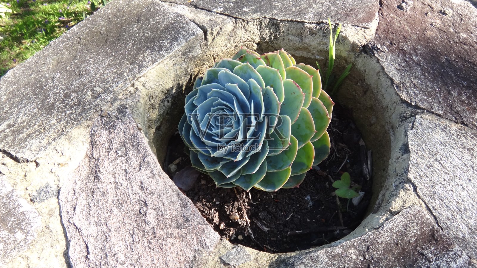 埃切韦里亚因布林卡塔工厂照片摄影图片