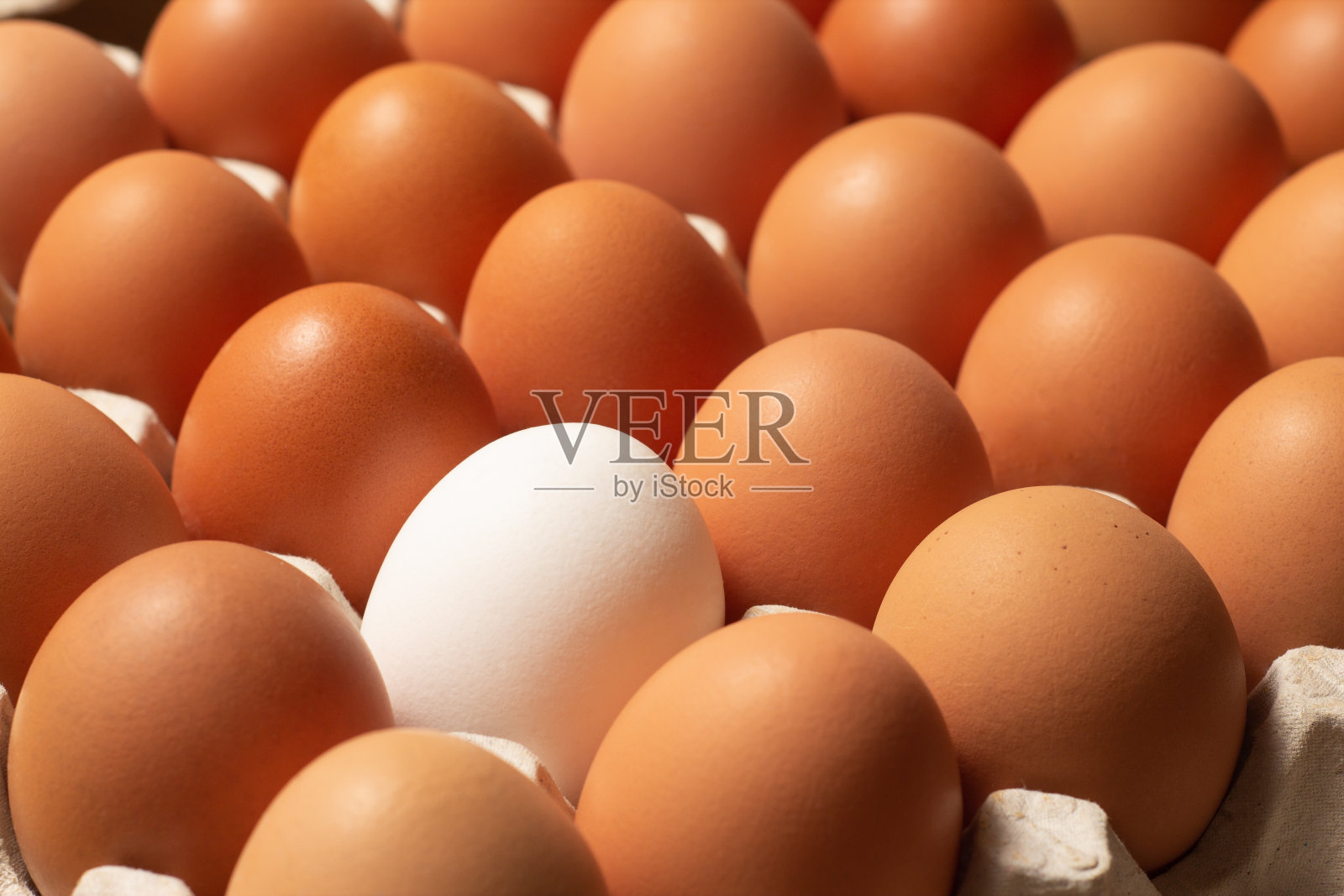 鸡肉，棕色和白色，新鲜的生鸡蛋在一个纸盒。原料烹饪。健康饮食的概念。有选择性的重点。照片摄影图片