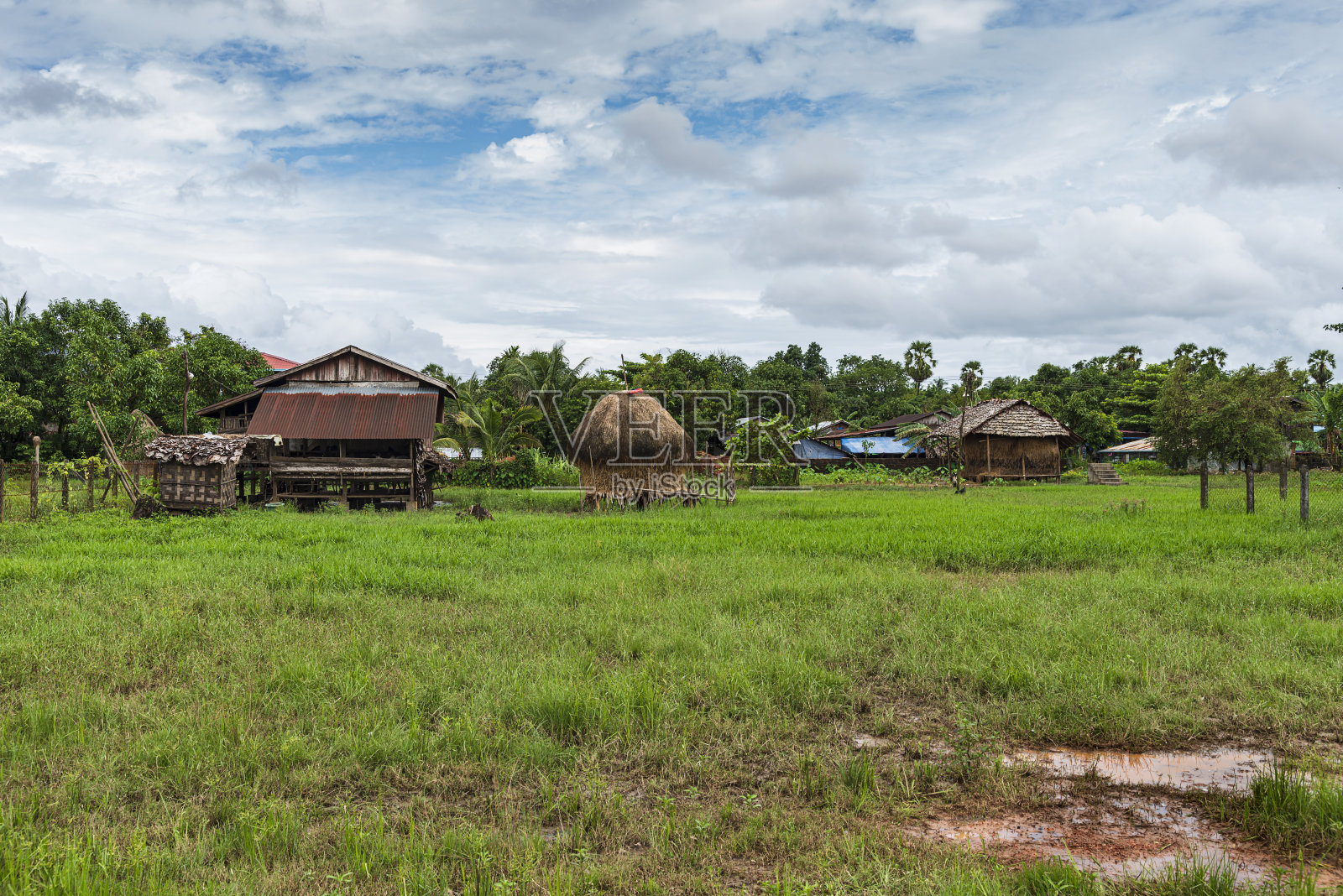 春天全景景观。绿色的田野上飘着白云的天空。照片摄影图片