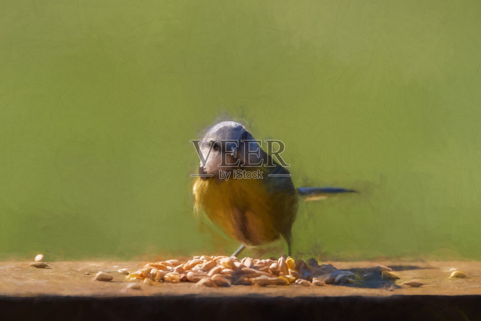 欧亚蓝山雀在清晰的绿色背景下进食的数字画。照片摄影图片